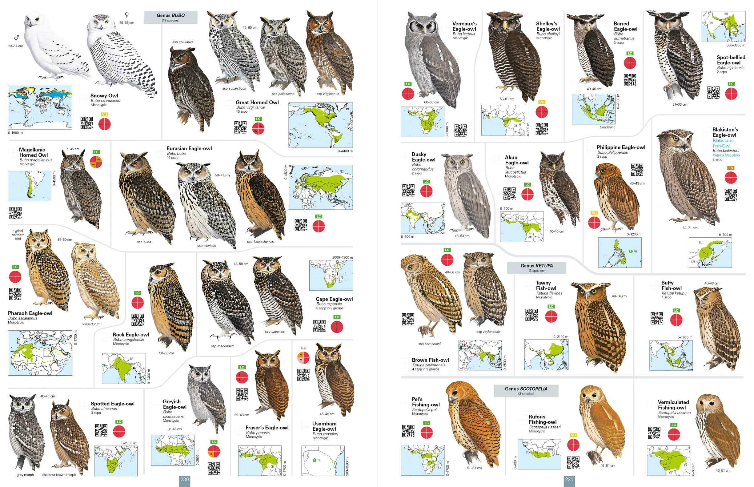 All the Birds of the World
