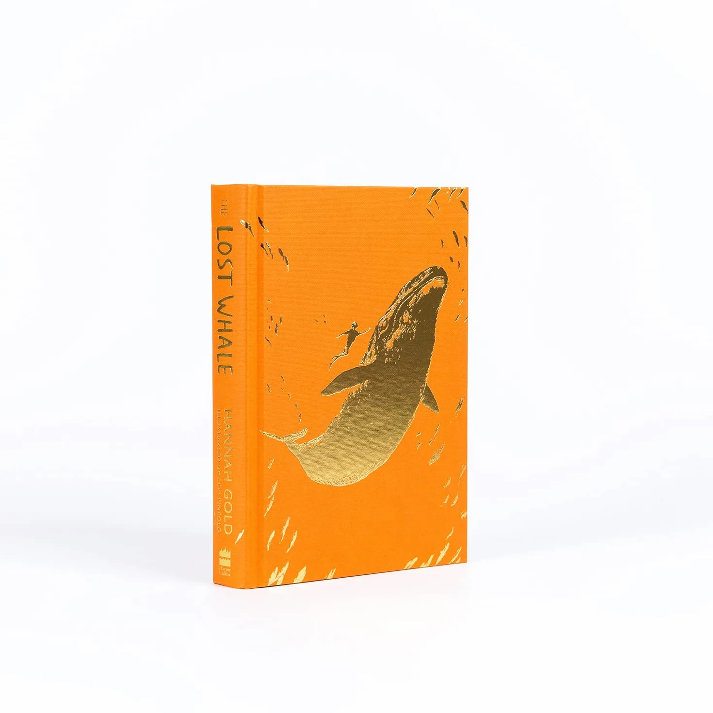 The Lost Whale: A powerful animal adventure story for children, from the bestselling author of The Last Bear