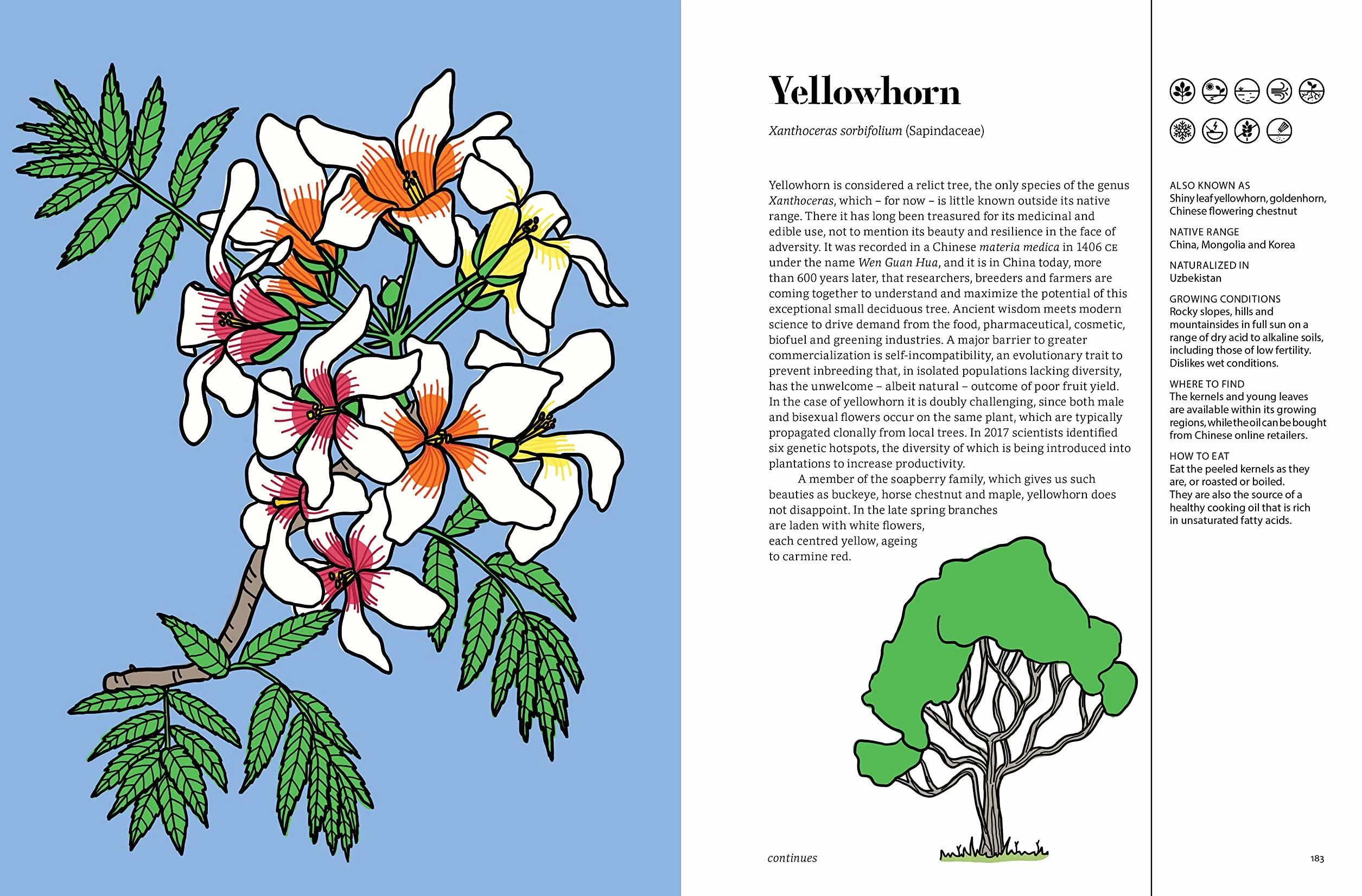 Edible : 70 Sustainable Plants That Are Changing How We Eat /anglais