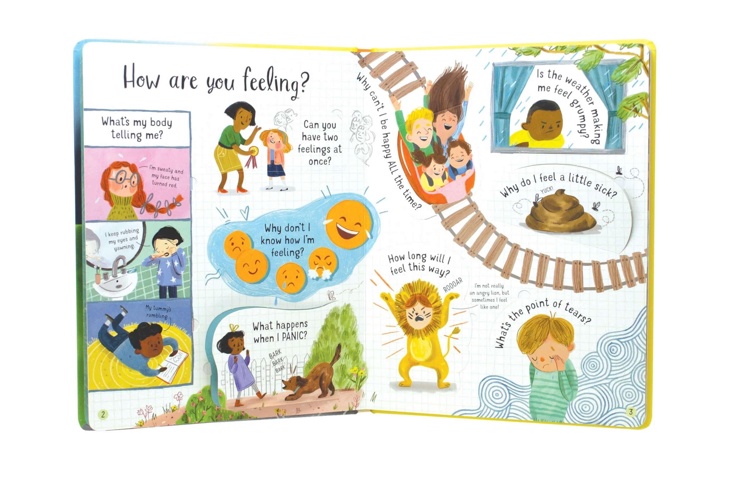 Lift-the-Flap Questions and Answers About Feelings