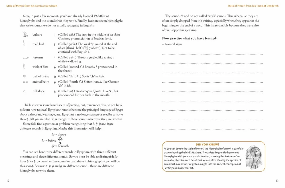 Egyptian Hieroglyphs for Complete Beginners /anglais: The Revolutionary New Approach to Reading the Monuments