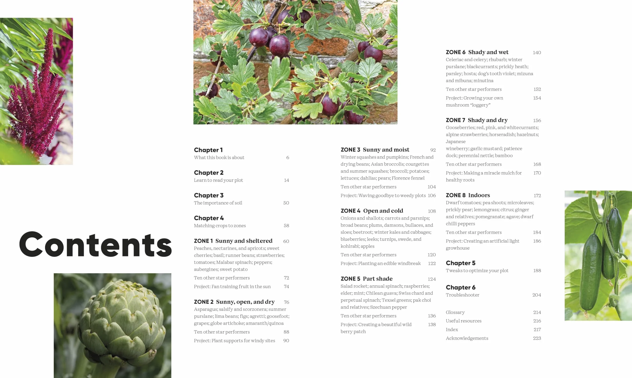 RHS Grow Food Anywhere: How to Plant the Right Crops in the Right Place and Help Your Garden Thrive