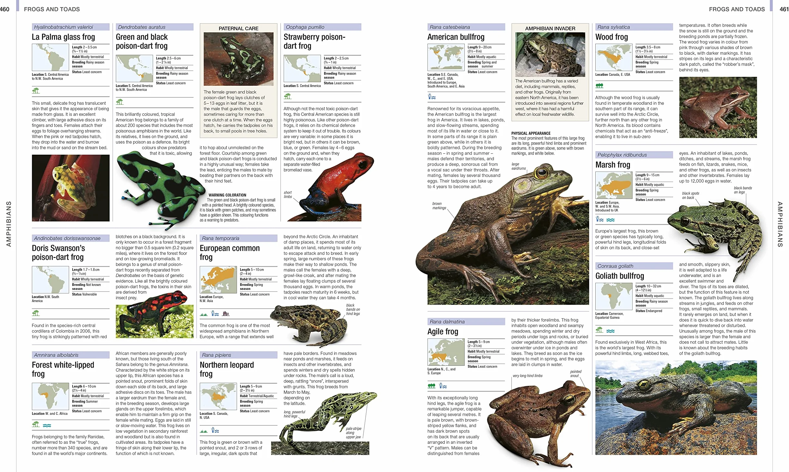 Animal: The Definitive Visual Guide