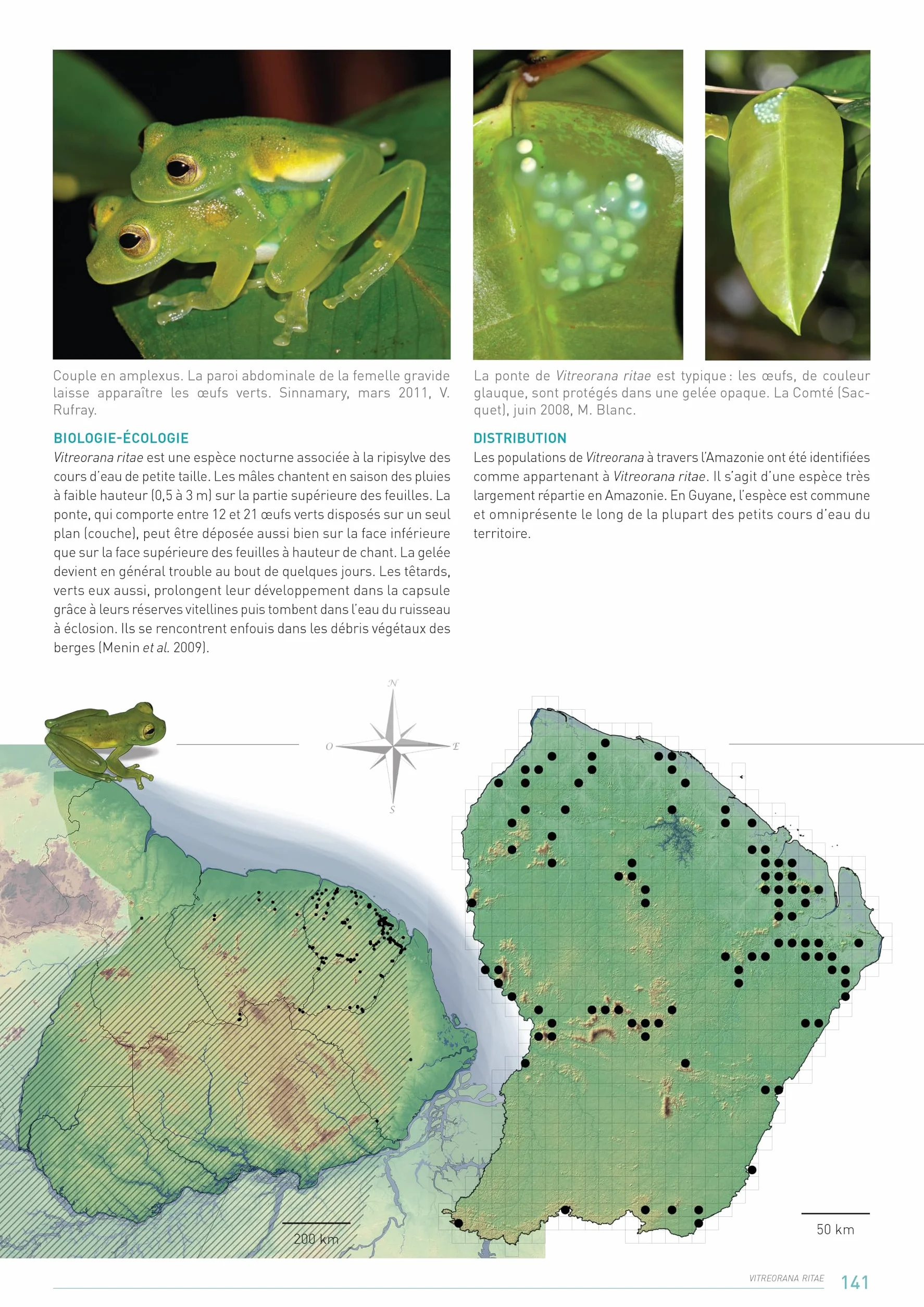 Atlas des Amphibiens de Guyane