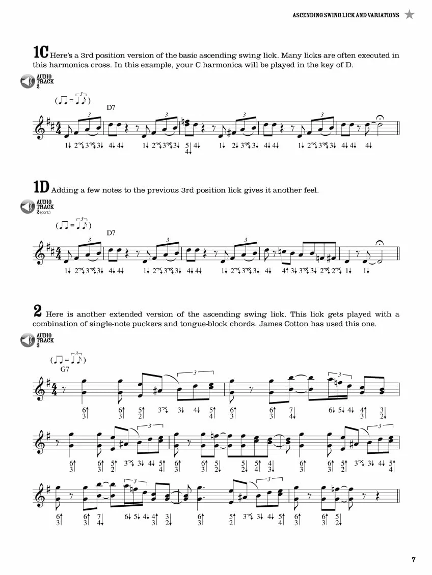 Blues Harmonica Licks