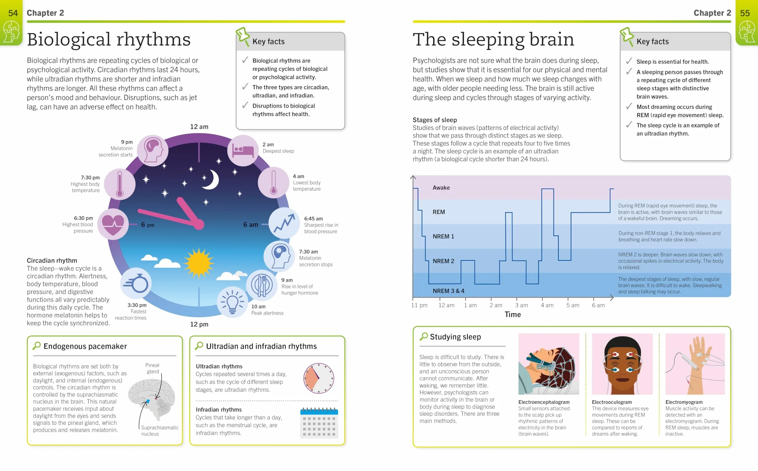 Super Simple Psychology: The Ultimate Bitesize Study Guide