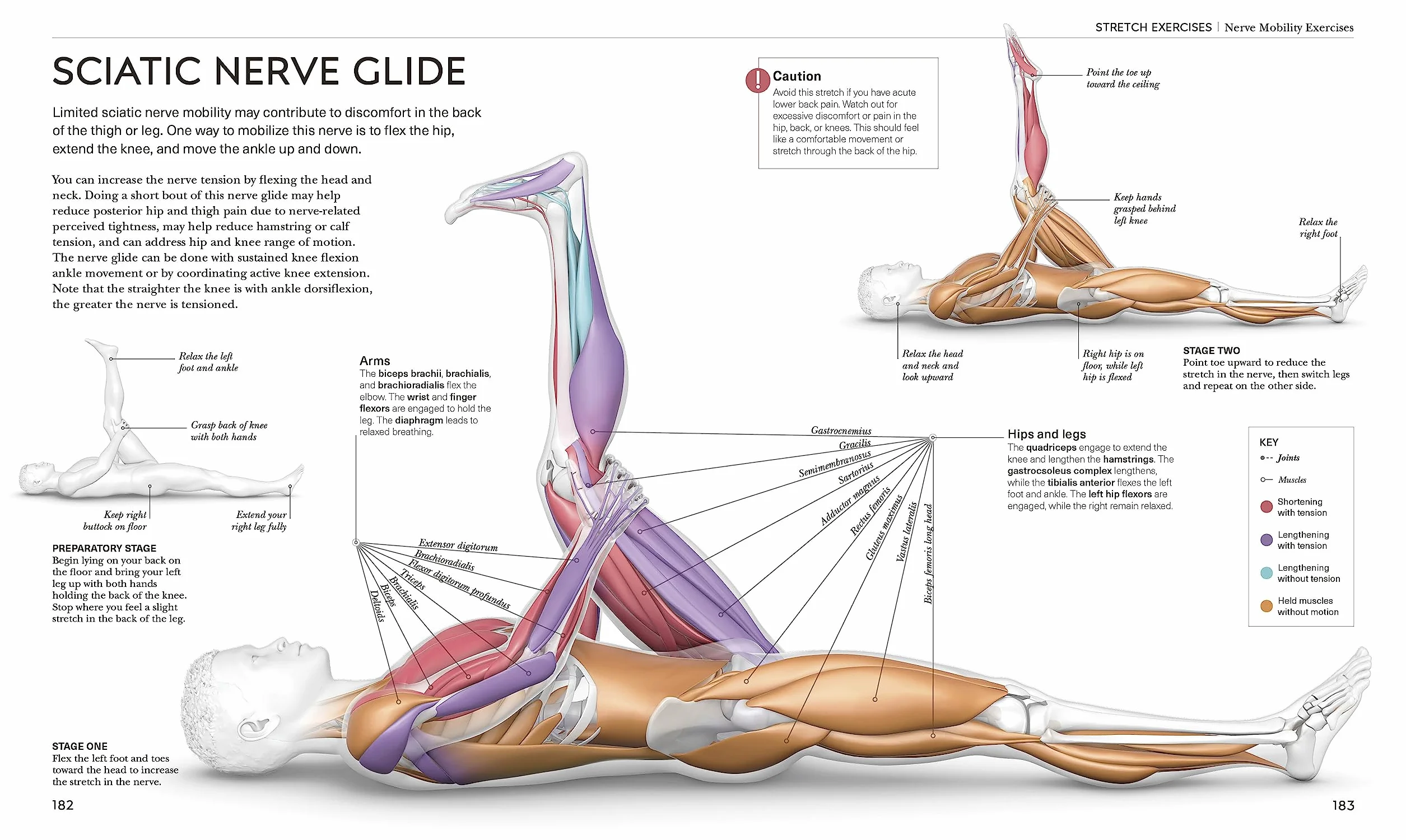 Science of Stretch: Reach Your Flexible Potential, Stay Active, Maximize Mobility