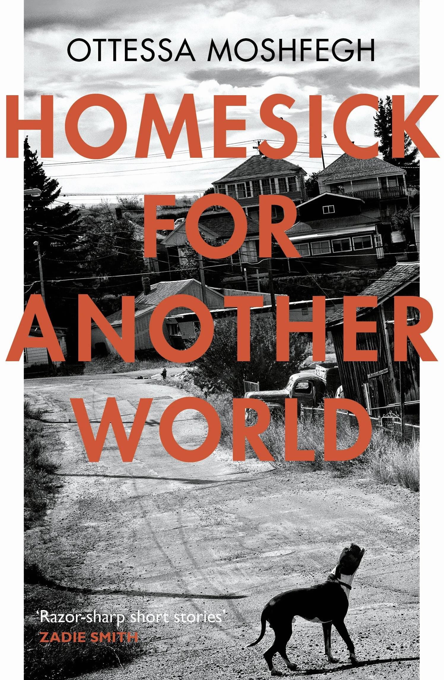 Ottessa Moshfegh Homesick For Another World