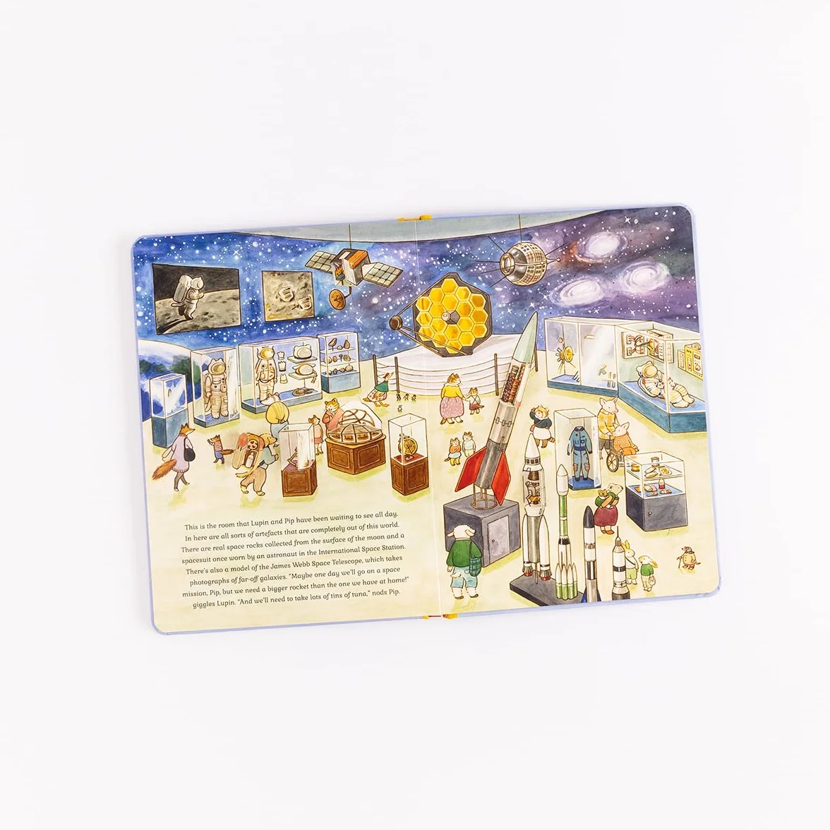 Cat Family at The Museum: A Lift-the-Flap Book with over 140 Flaps: Volume 2