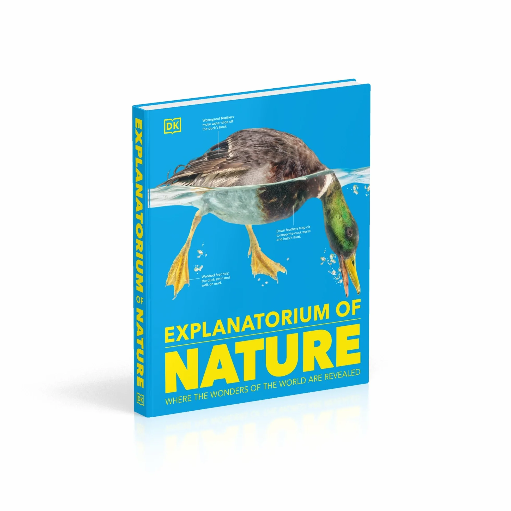 Explanatorium of Nature: Where the Wonders of the World are Revealed