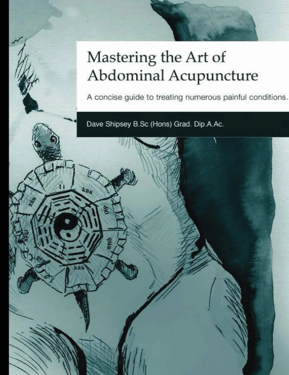 Abdominal Acupuncture: A Concise Guide to Treating Painful Conditions