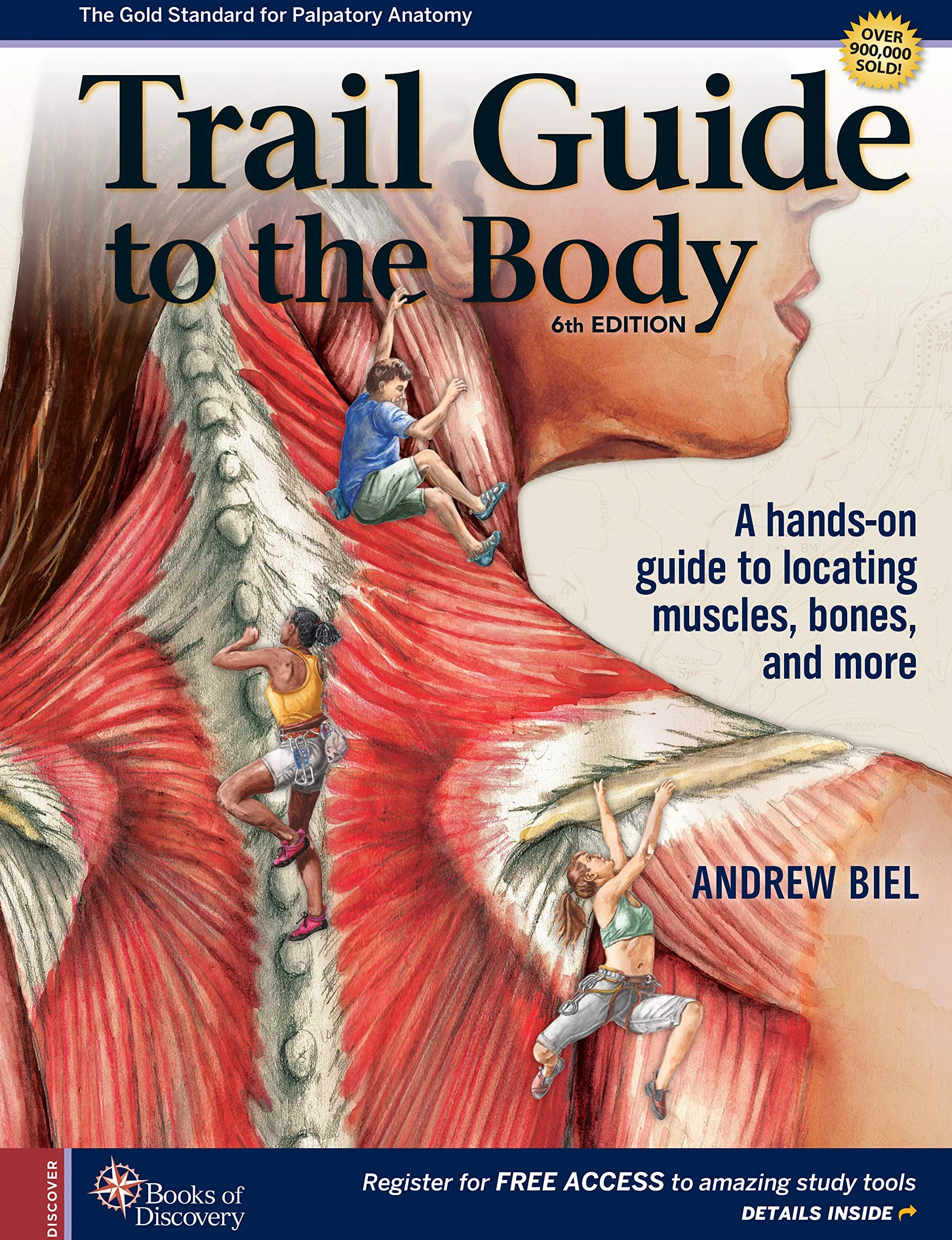 Trail Guide to the Body: A Hands-on Guide to Locating Muscles, Bones and More