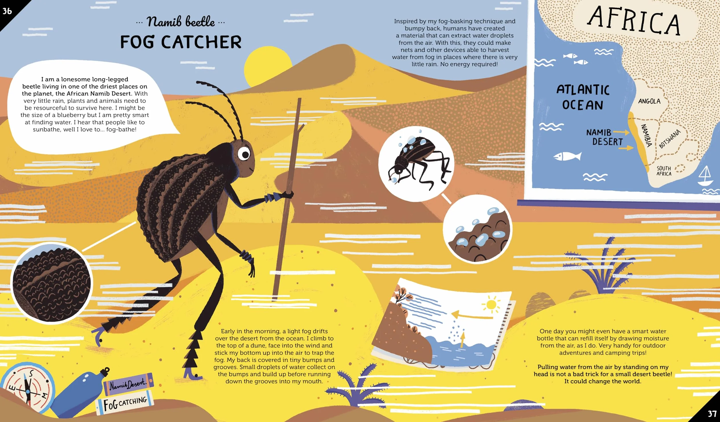 Invented by Animals: Meet the creatures who inspired our everyday technology