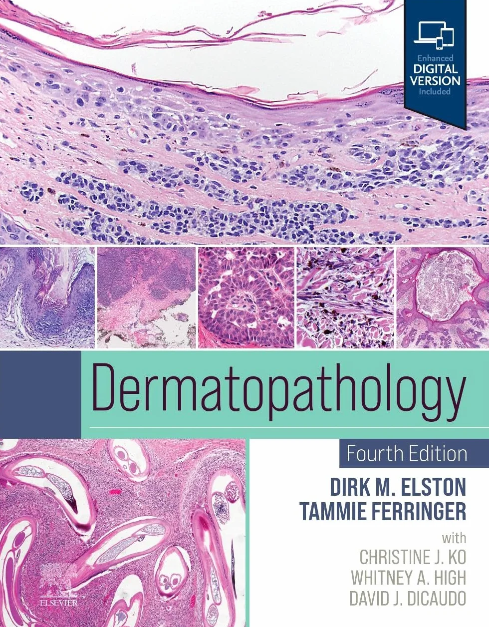 Dermatopathology