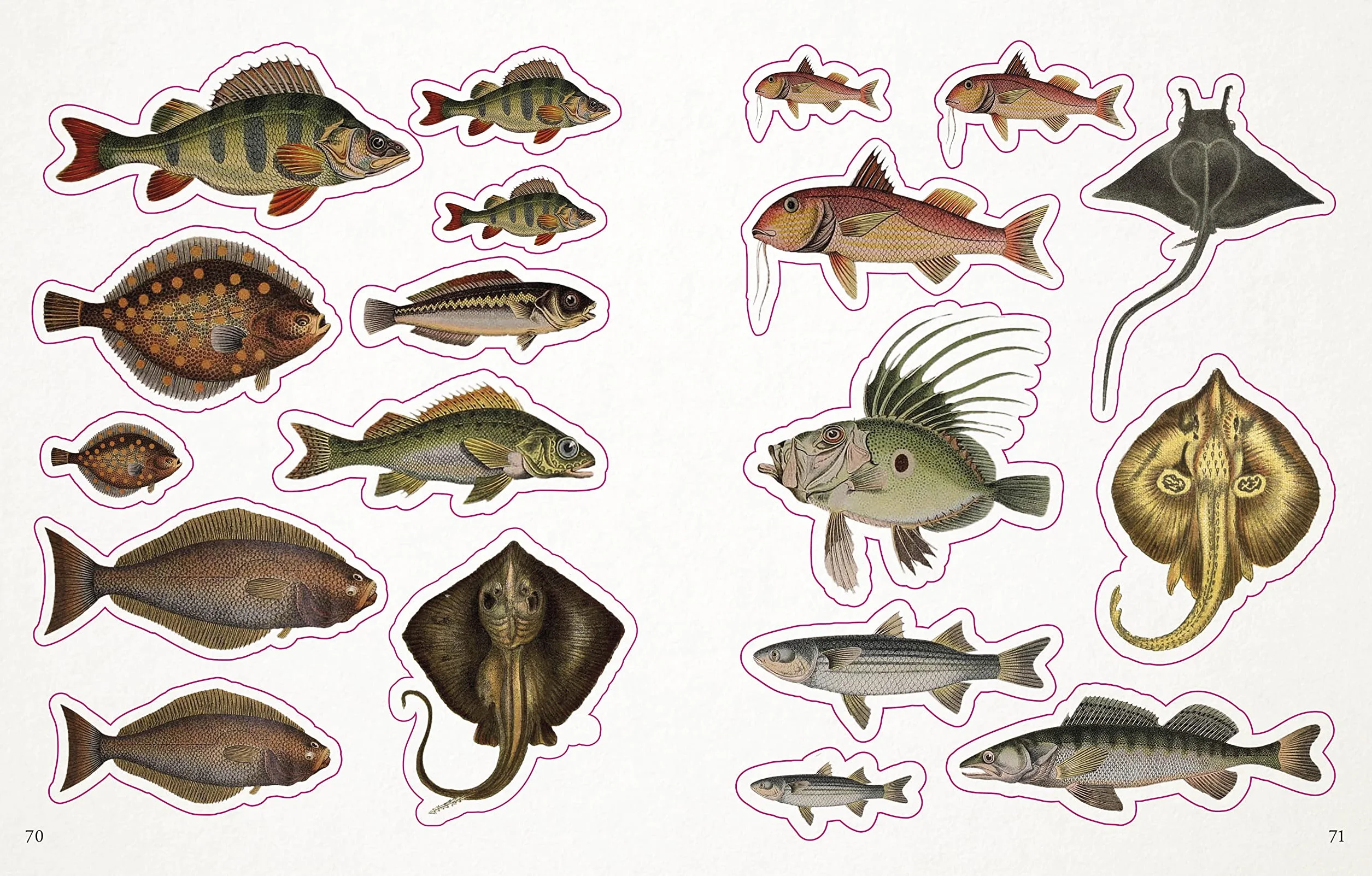 The Seashore Sticker Anthology: 1,000+ Vintage Stickers