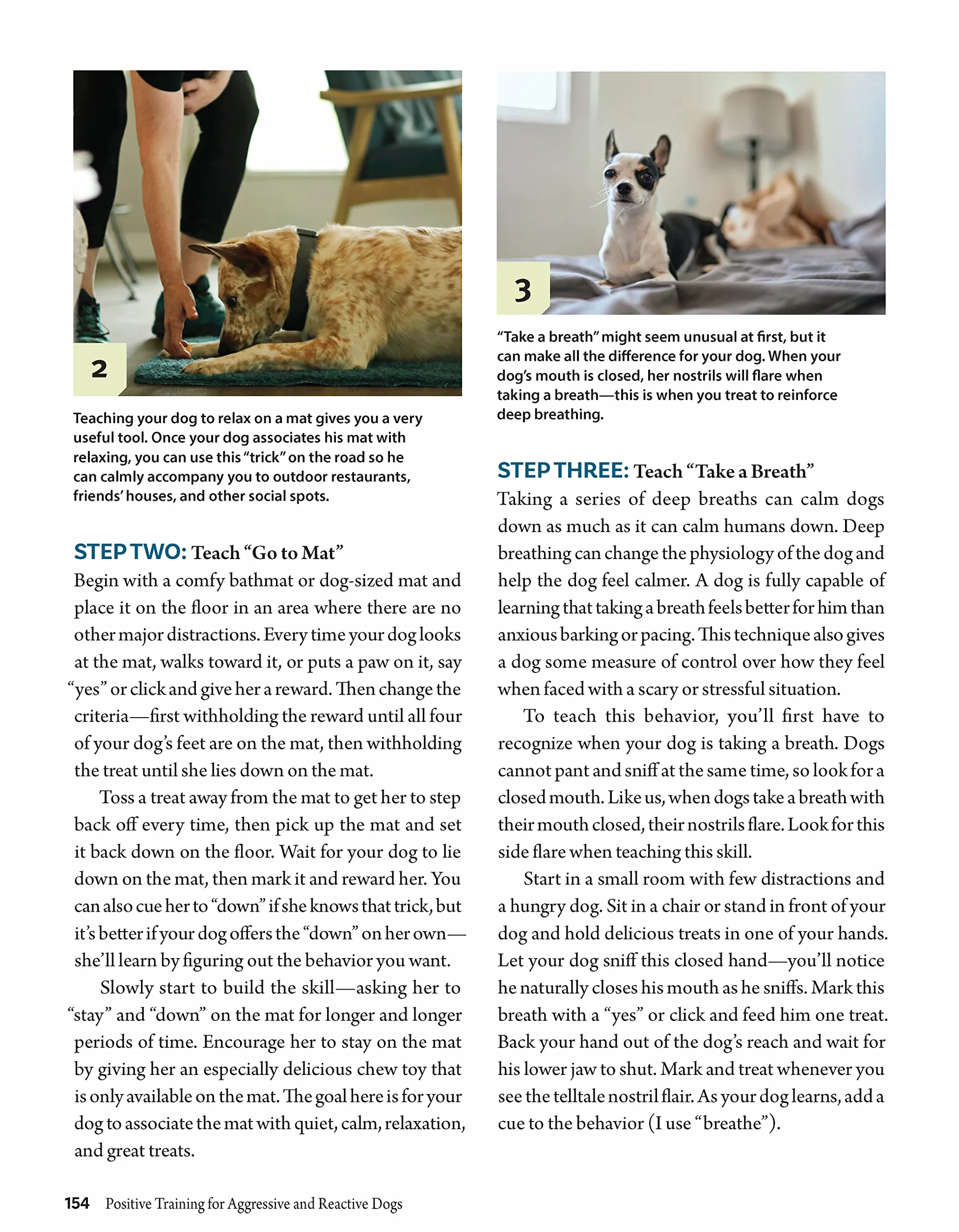Positive Training for Aggressive and Reactive Dogs: Proven Techniques to Help Your Dog Overcome Fear and Anxiety