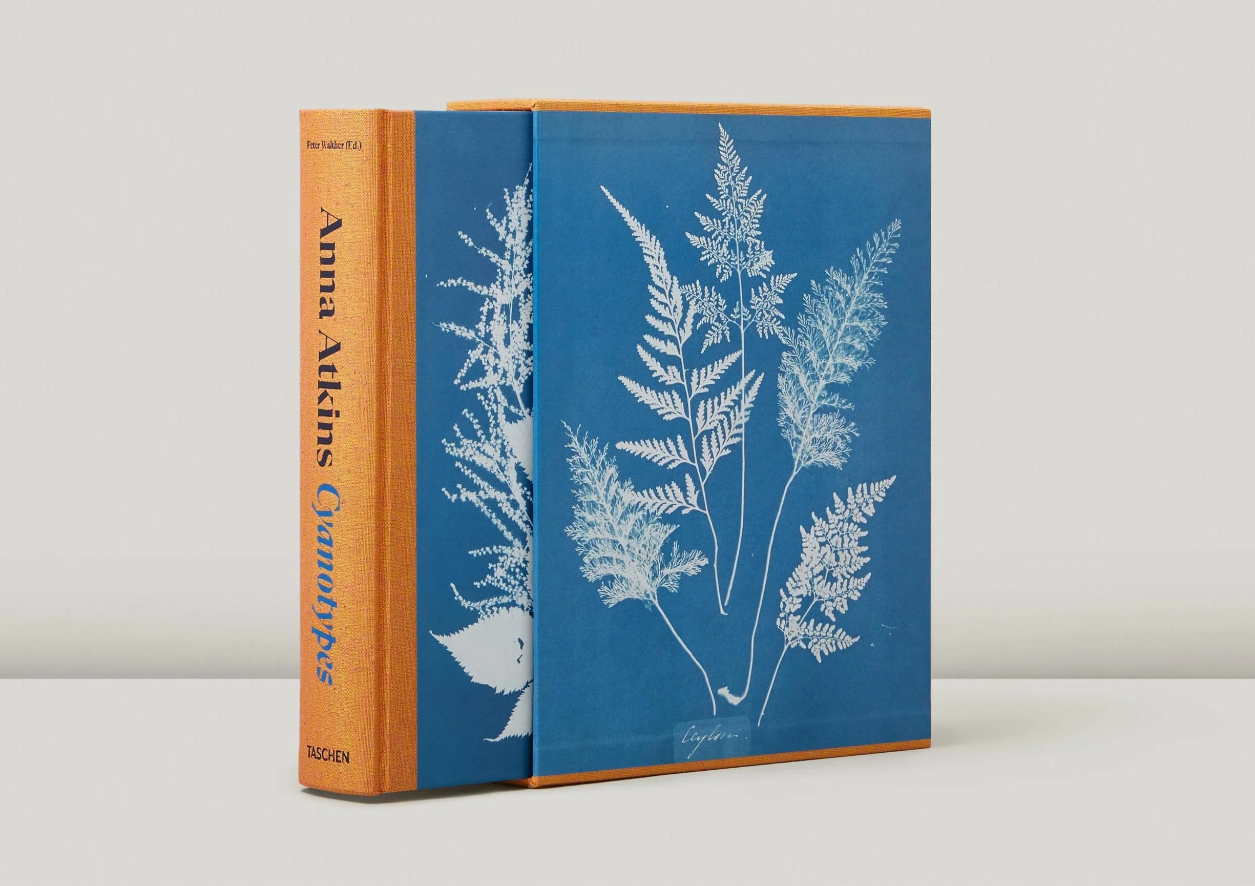 Anna Atkins. Cyanotypes