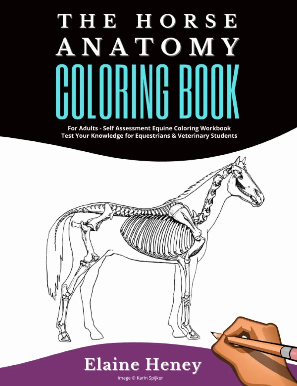 Horse Anatomy Coloring Book For Adults - Self Assessment Equine Coloring Workbook: Test Your Knowledge - For Equestrians & Veterinary Students