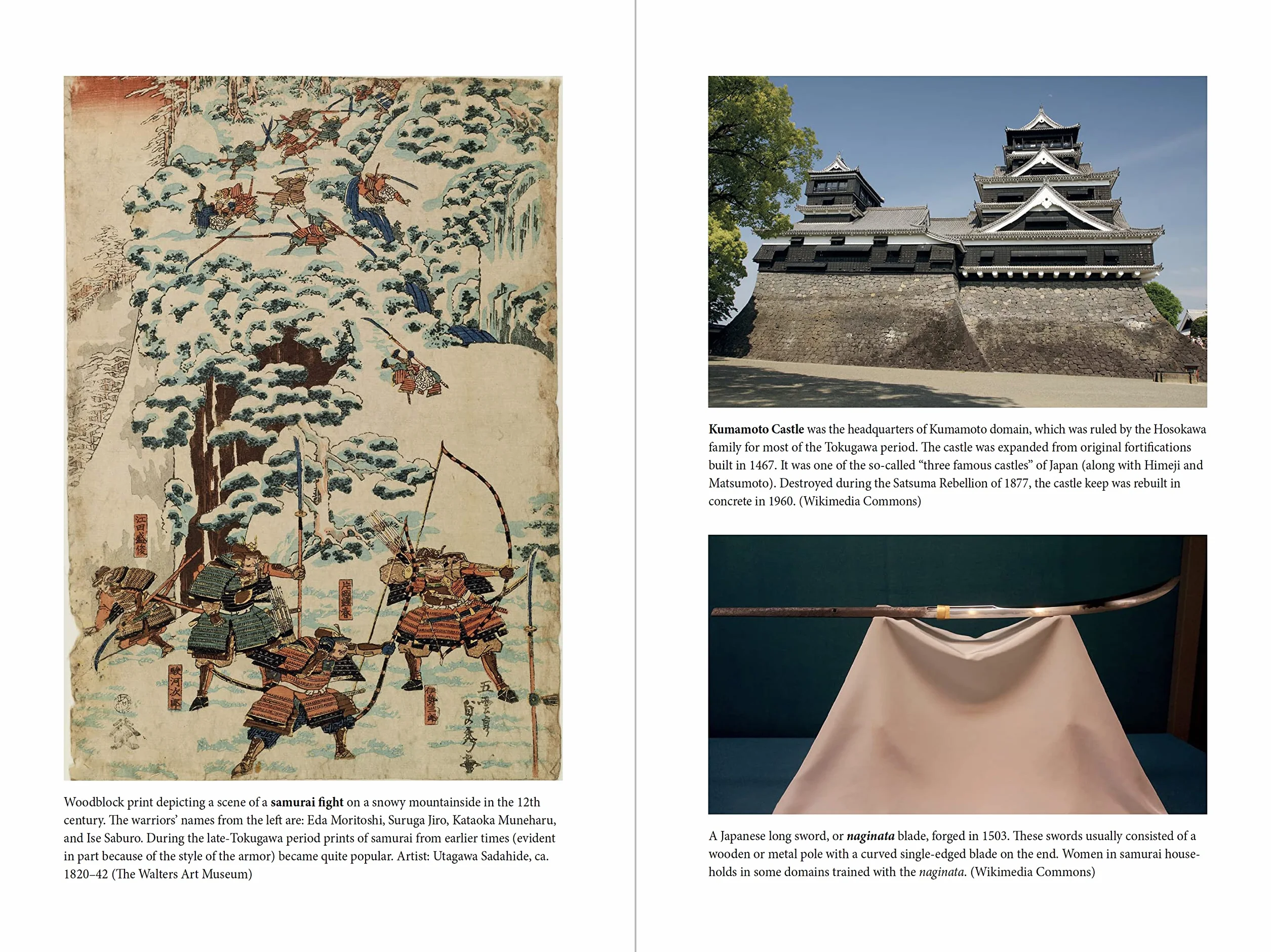 The Samurai Encyclopedia: A Comprehensive Guide to Japan's Elite Warrior Class