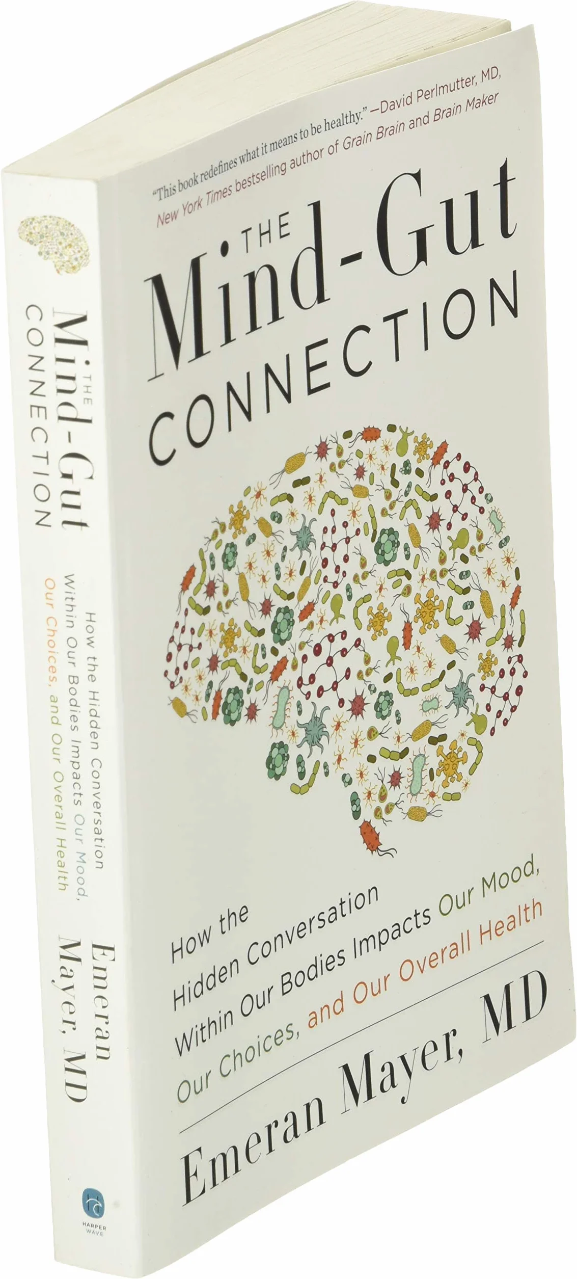 The Mind-Gut Connection: How Our Gut Impacts Mood, Choices, and Health