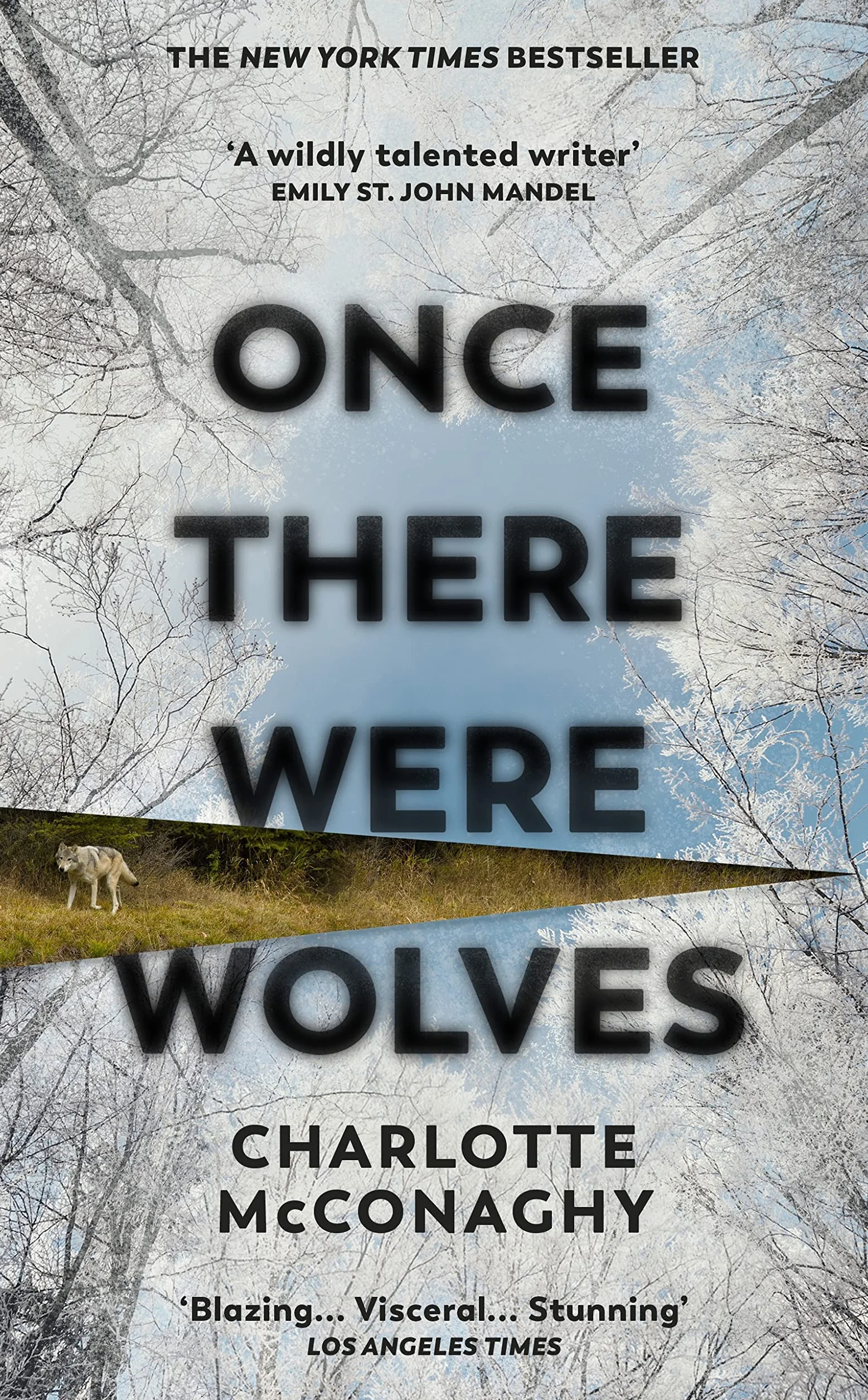 Once There Were Wolves: The wild, spellbinding New York Times bestselling novel from the author of Wild Dark Shore