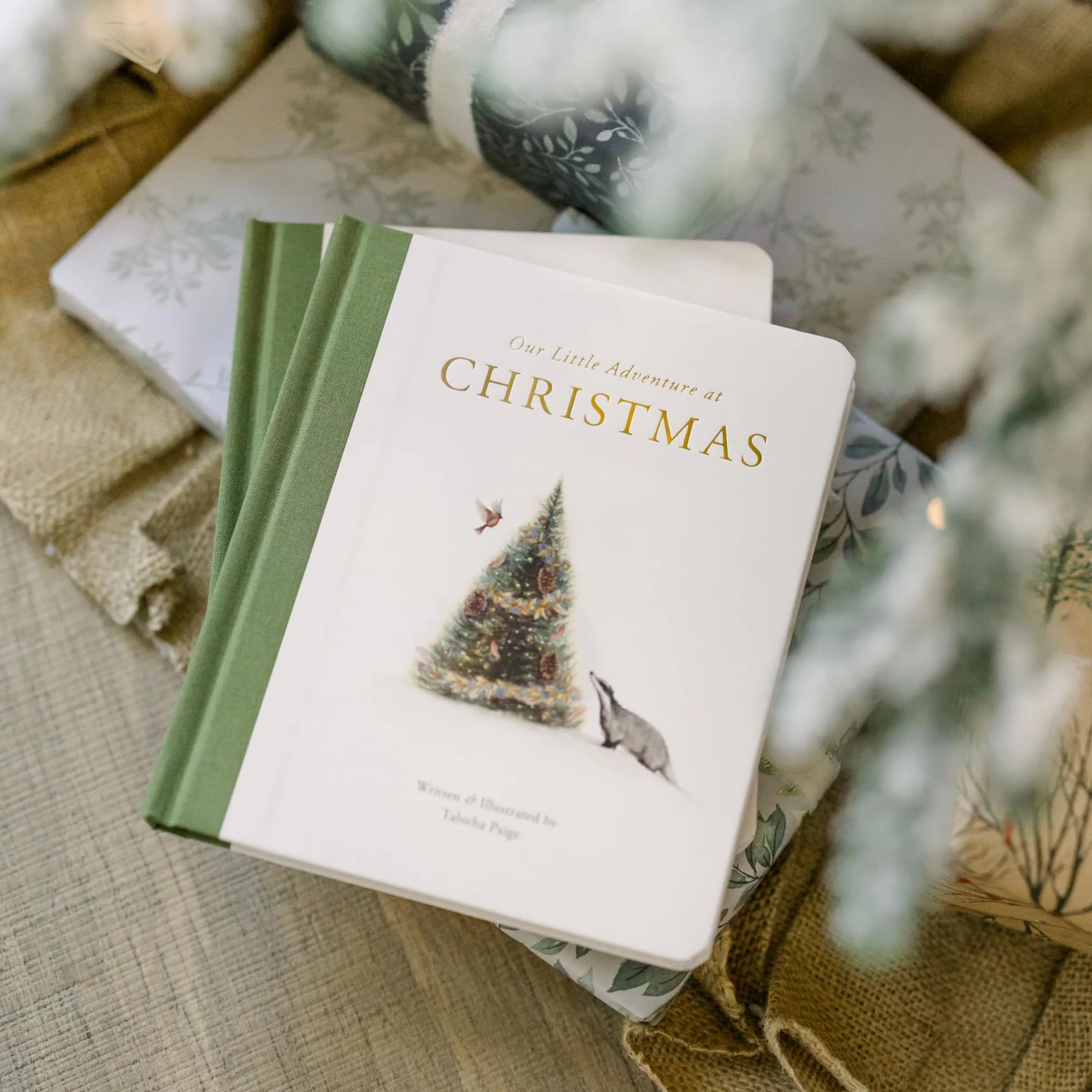 Our Little Adventure at Christmas: Featuring Foundational Language Concepts and Lessons on the Joy of Giving: 12