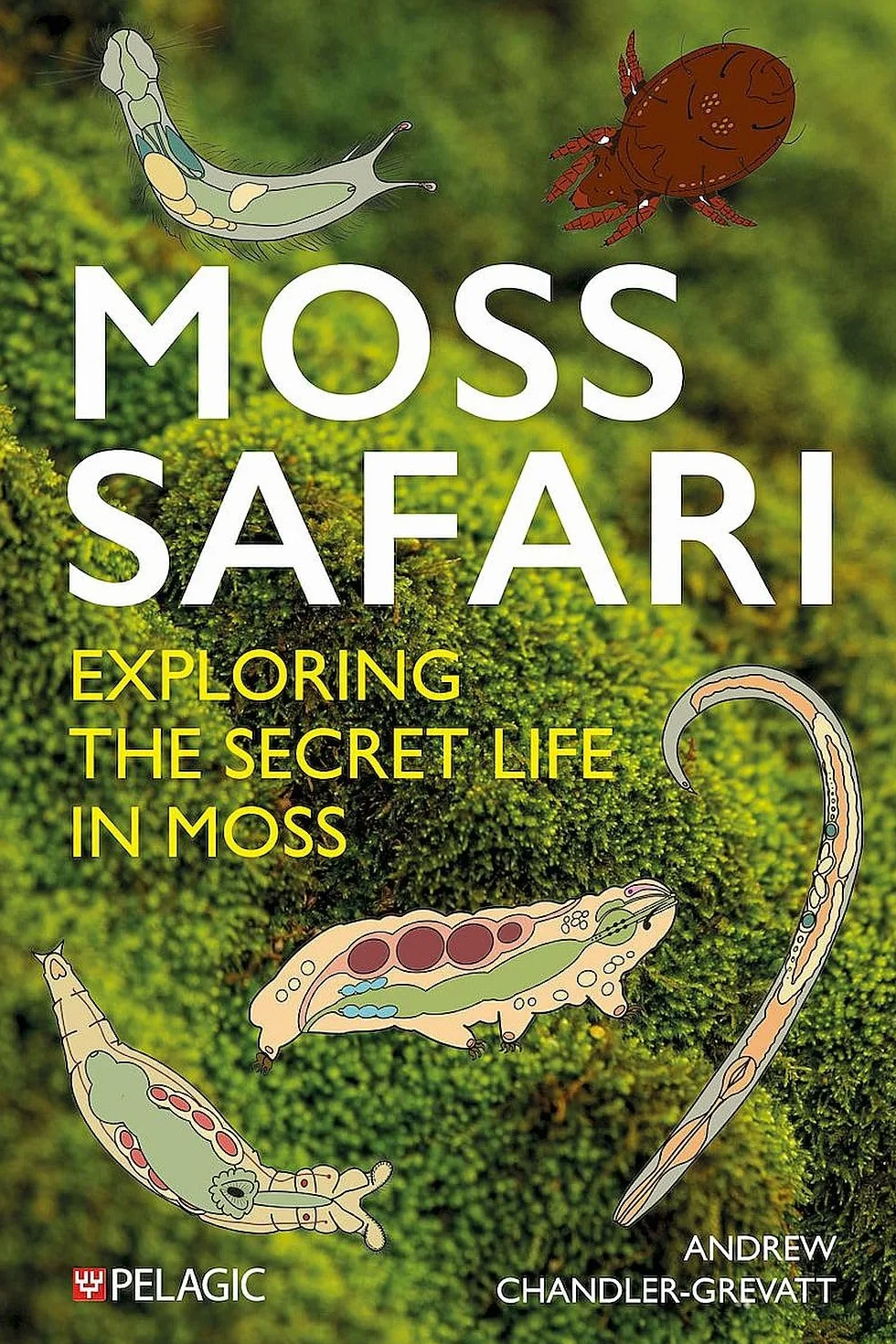 Moss Safari: Exploring the Secret Life in Moss