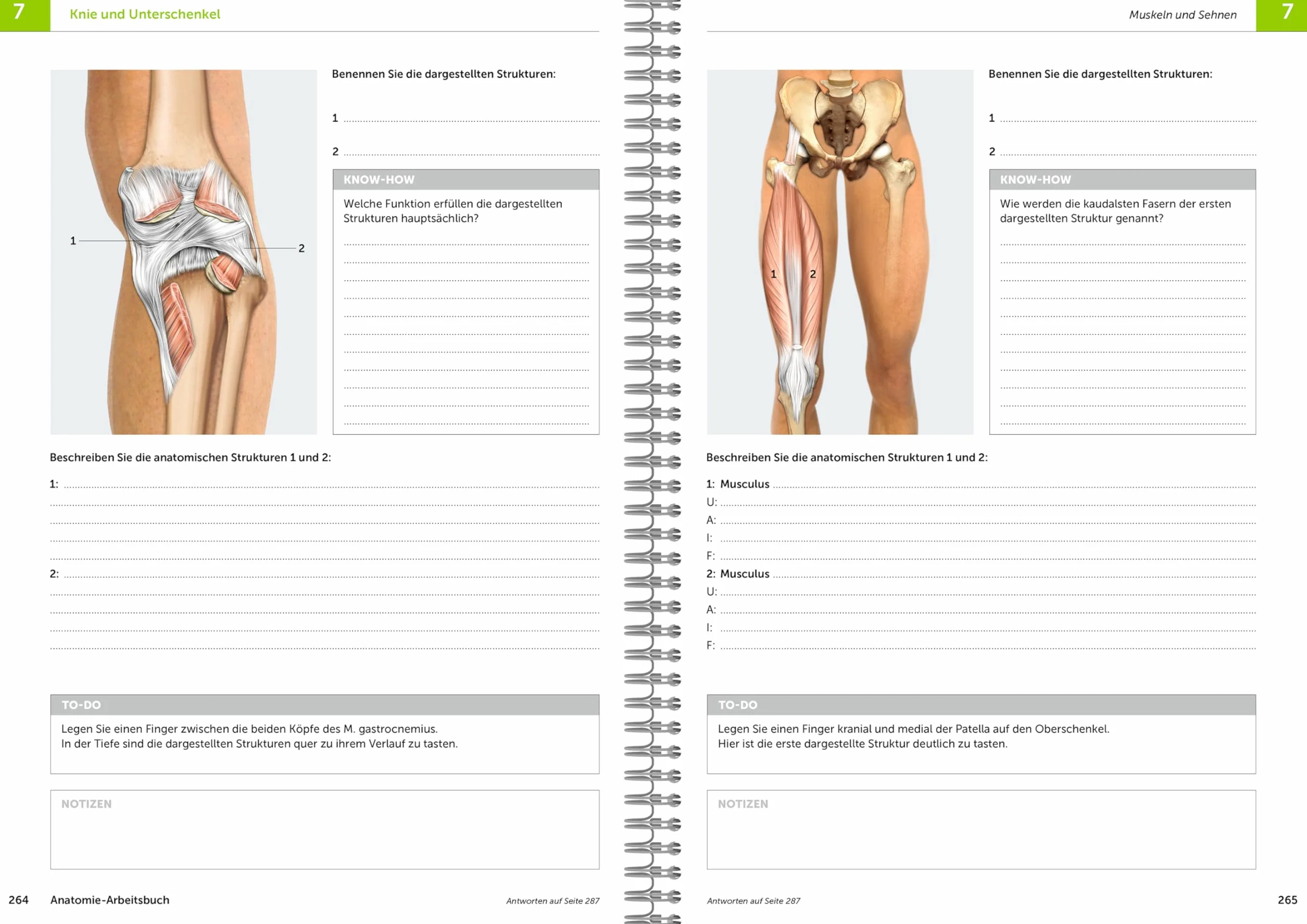 Anatomie-Arbeitsbuch: Anatomie aktiv erfahren und verstehen