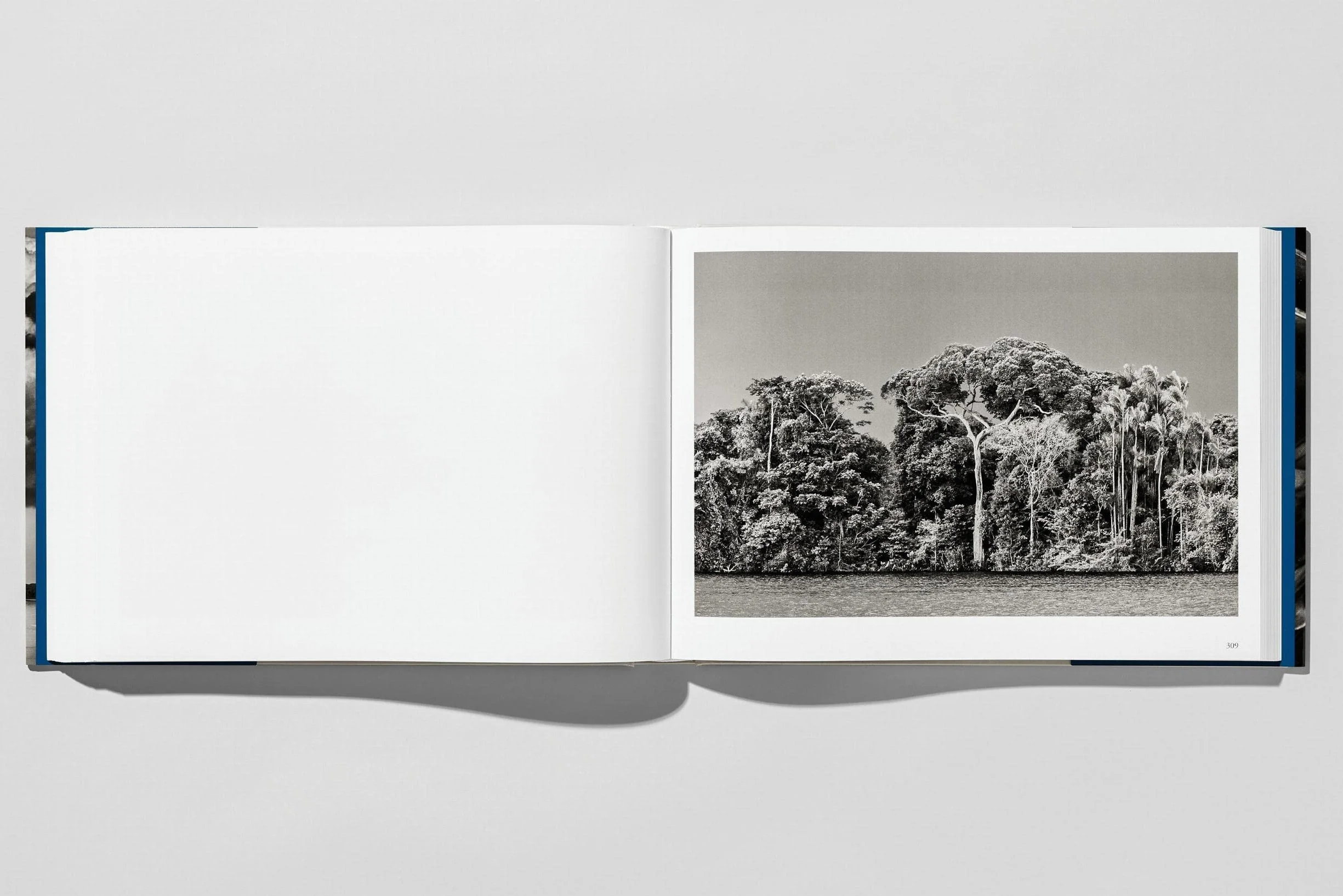 Sebastião Salgado. Amazônia