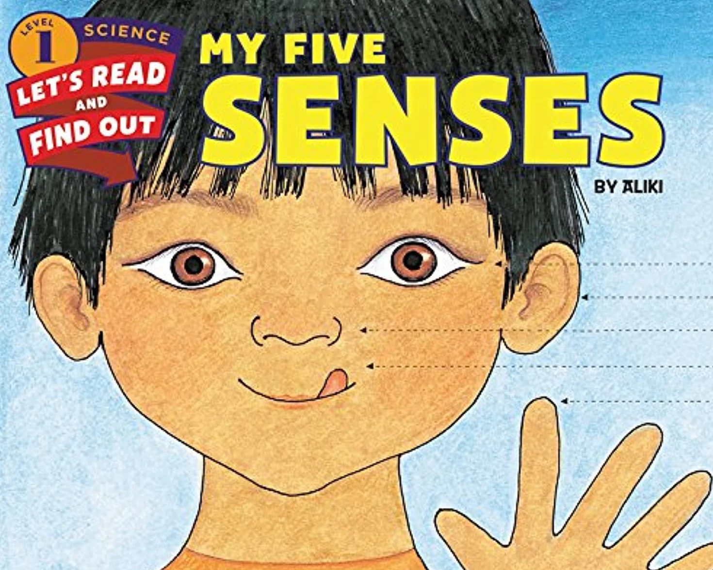 My Five Senses