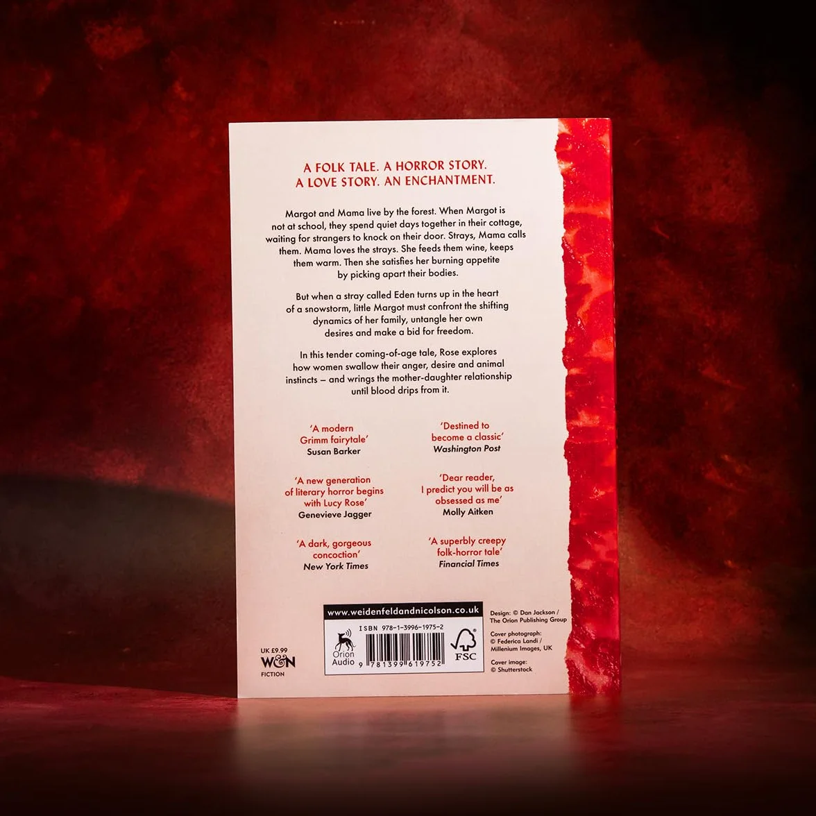 The Lamb: The bestselling literary sensation of 2025