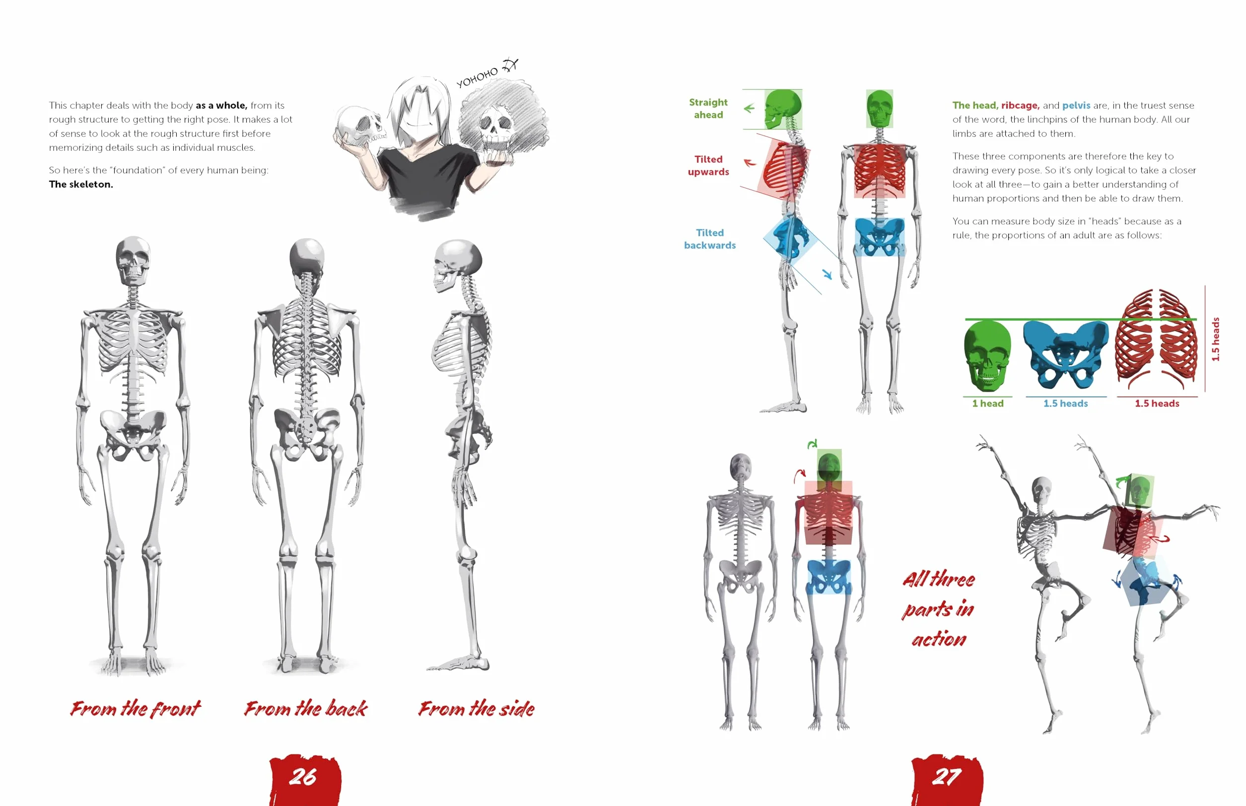 Draw Like a Mangaka: Anatomy: A Comprehensive Anatomical Reference - Master Anatomy, Figure Drawing and Poses