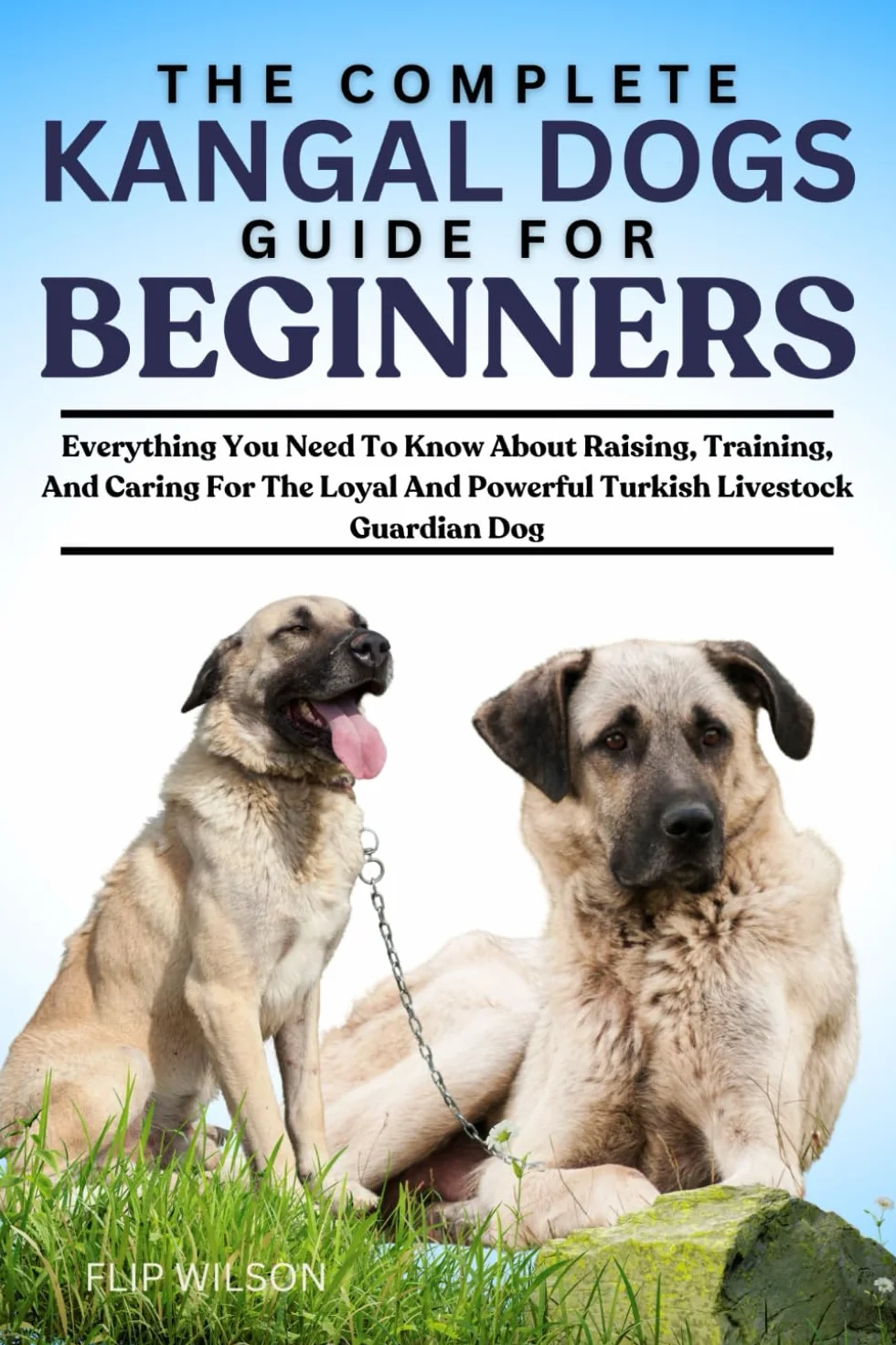 Kangal Dogs Guide for Beginners: Raising, Training, Caring for Turkish Livestock Guardian Dog