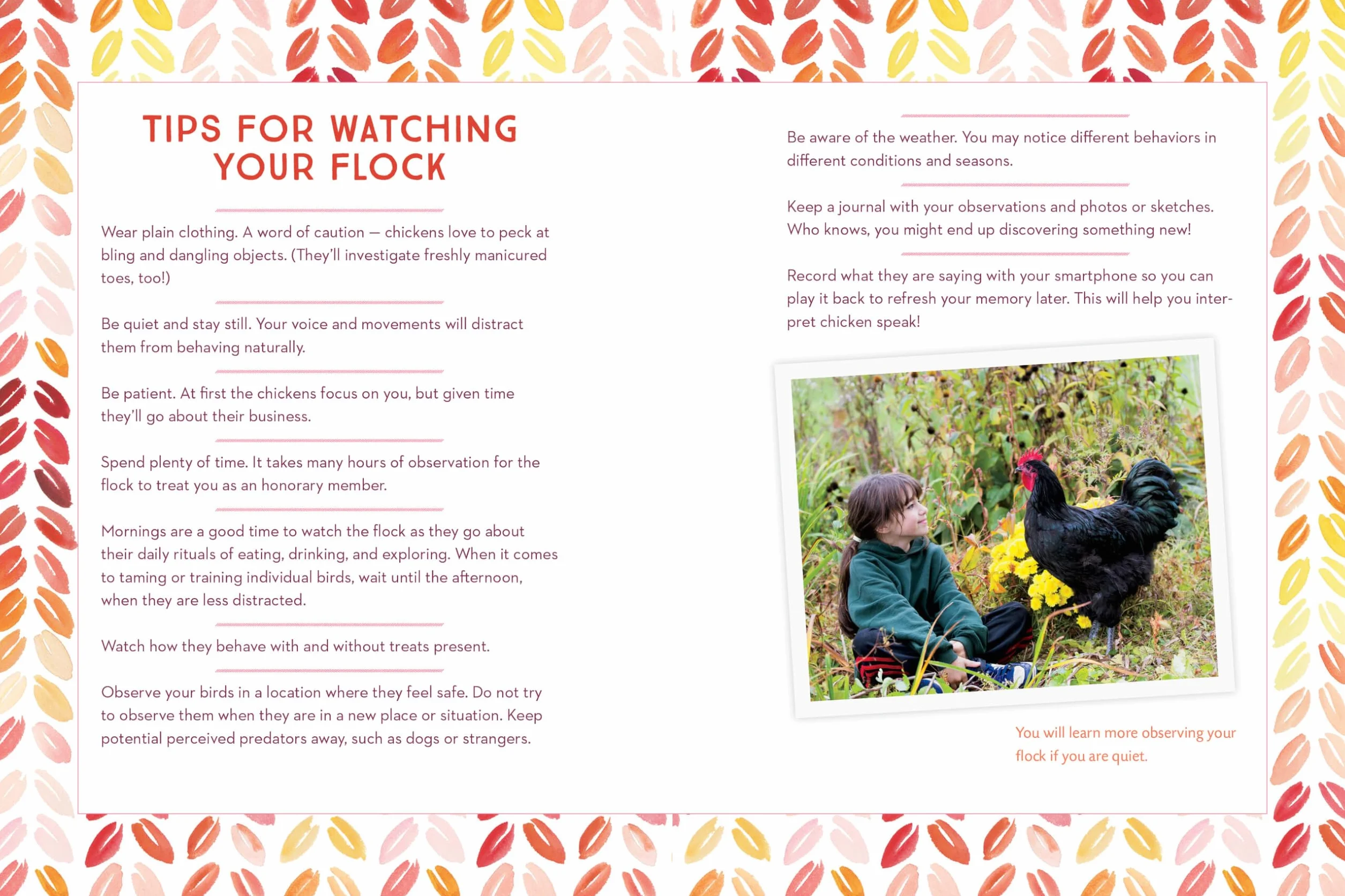 How to Speak Chicken: Why Your Chickens Do What They Do & Say What They Say