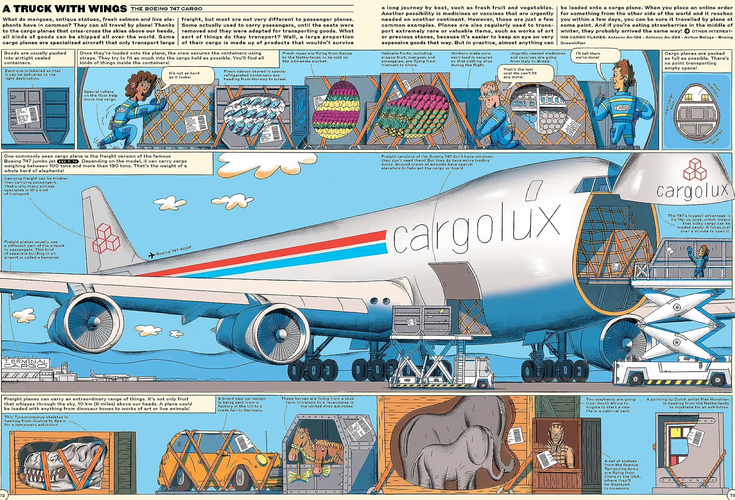 Sky High! A Soaring History of Aviation