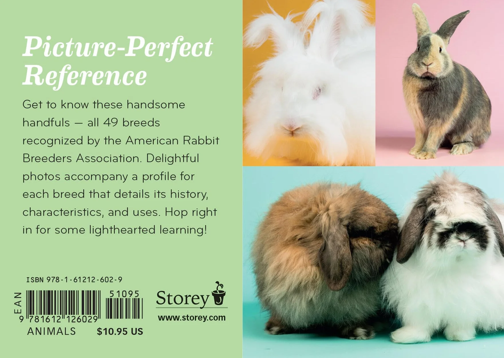 Rabbit Breeds: Pocket Guide to 49 Essential Breeds