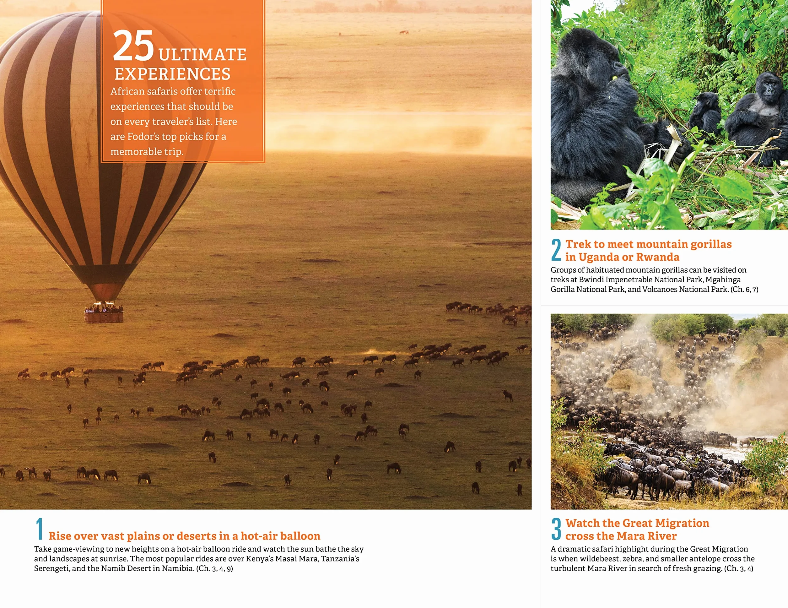 Fodor's Complete Guide to African Safaris: South Africa, Kenya, Tanzania, Botswana, Namibia, Rwanda, Uganda & Victoria Falls
