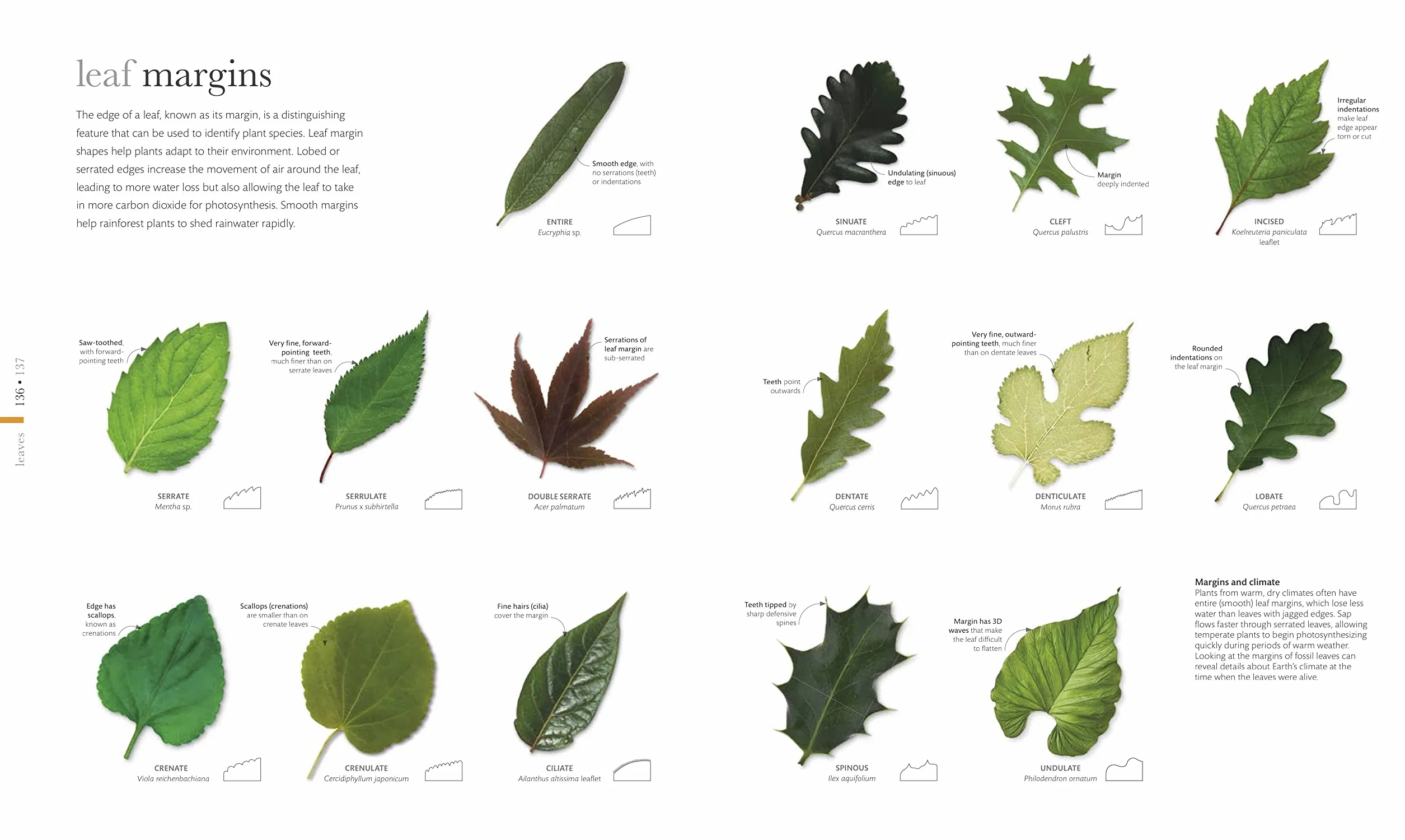 The Science of Plants: Inside their Secret World