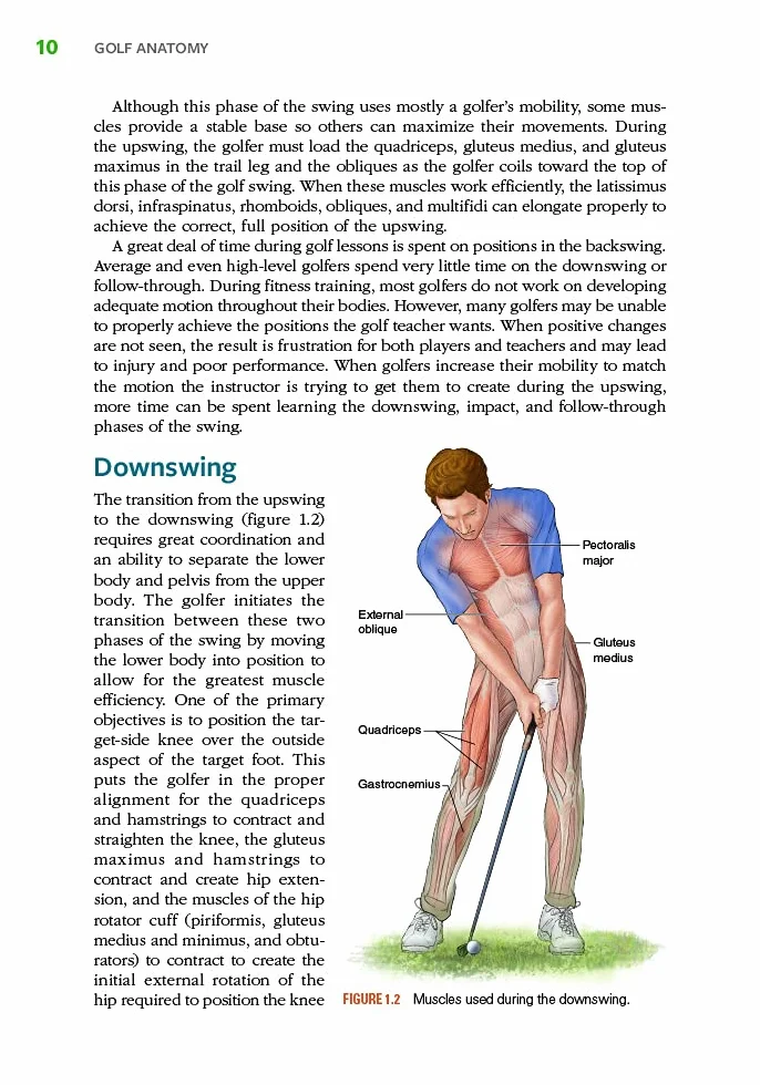 Golf Anatomy