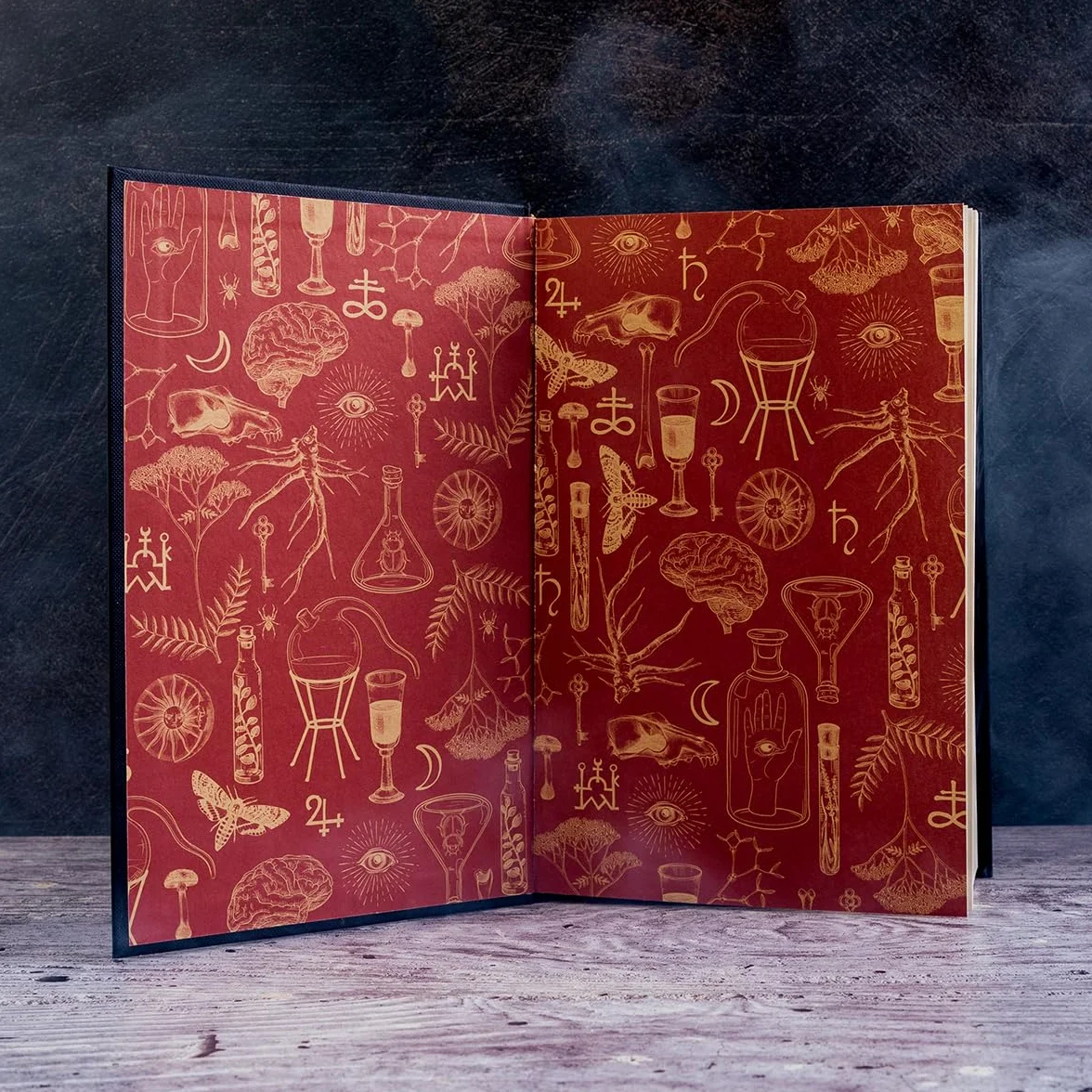 Alchemised: The 2025 Debut Novel Phenomenon