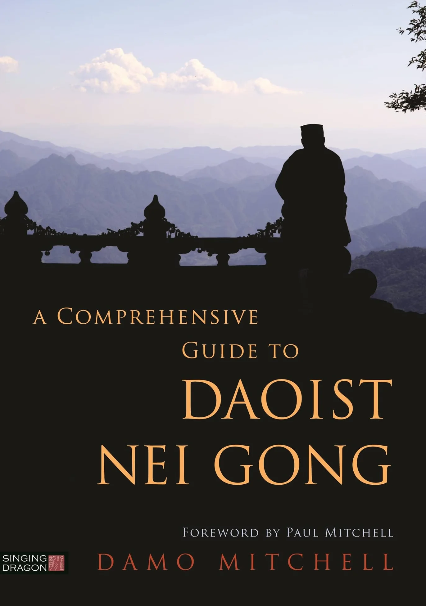 Daoist Nei Gong Guide