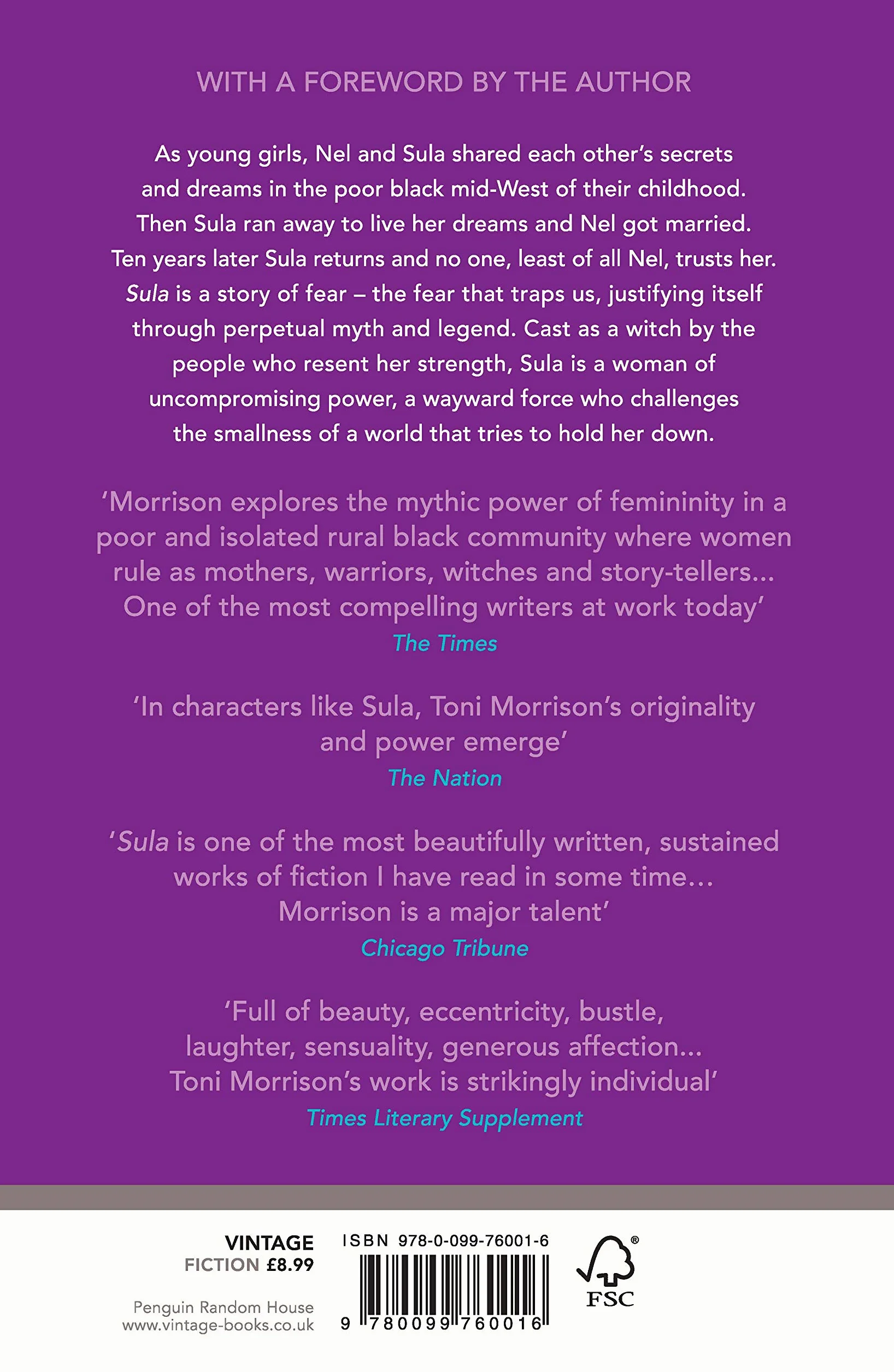Sula: A landmark novel on Black womanhood, community, and the price of freedom