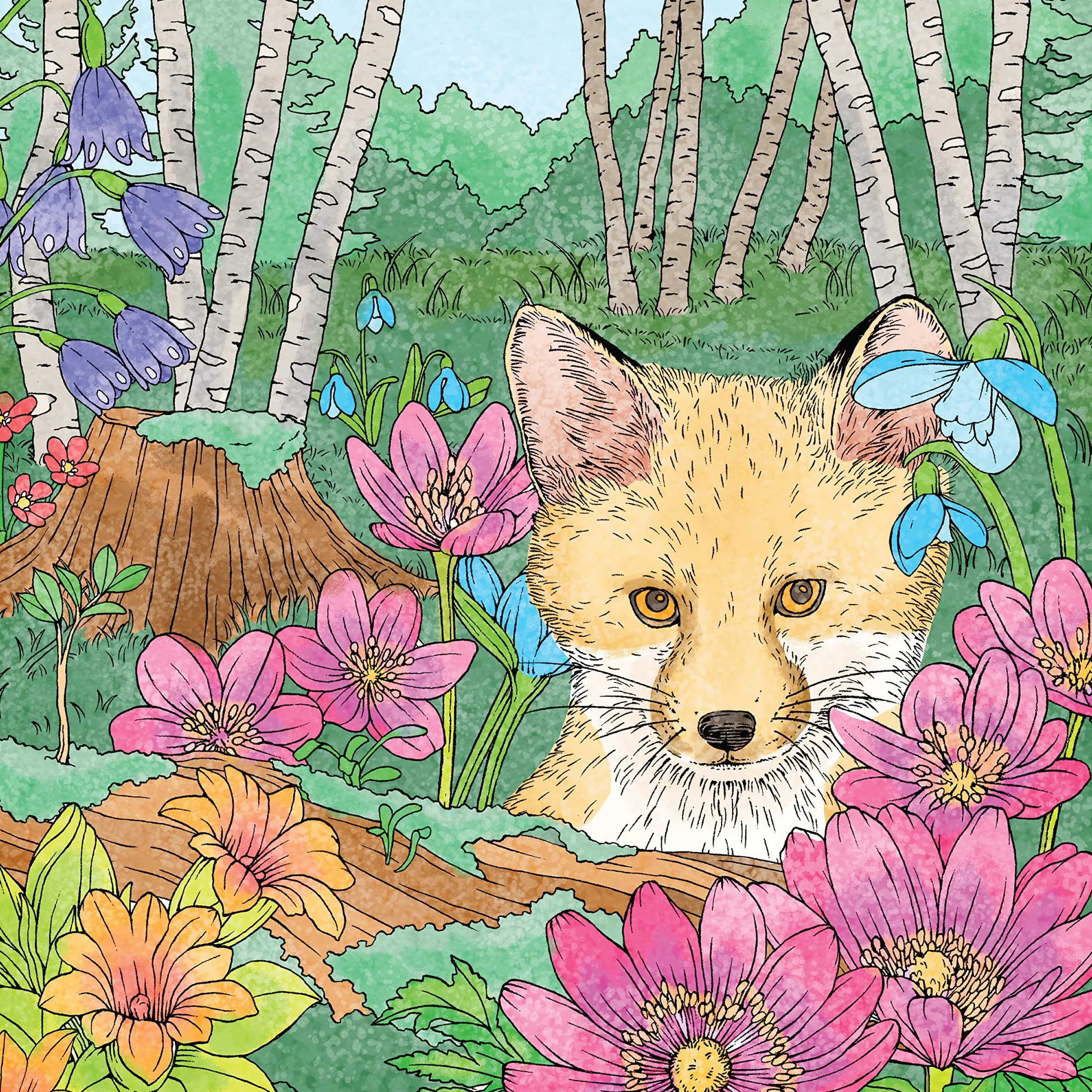 Symphony of Cute Animals: A Curious Coloring Book Adventure