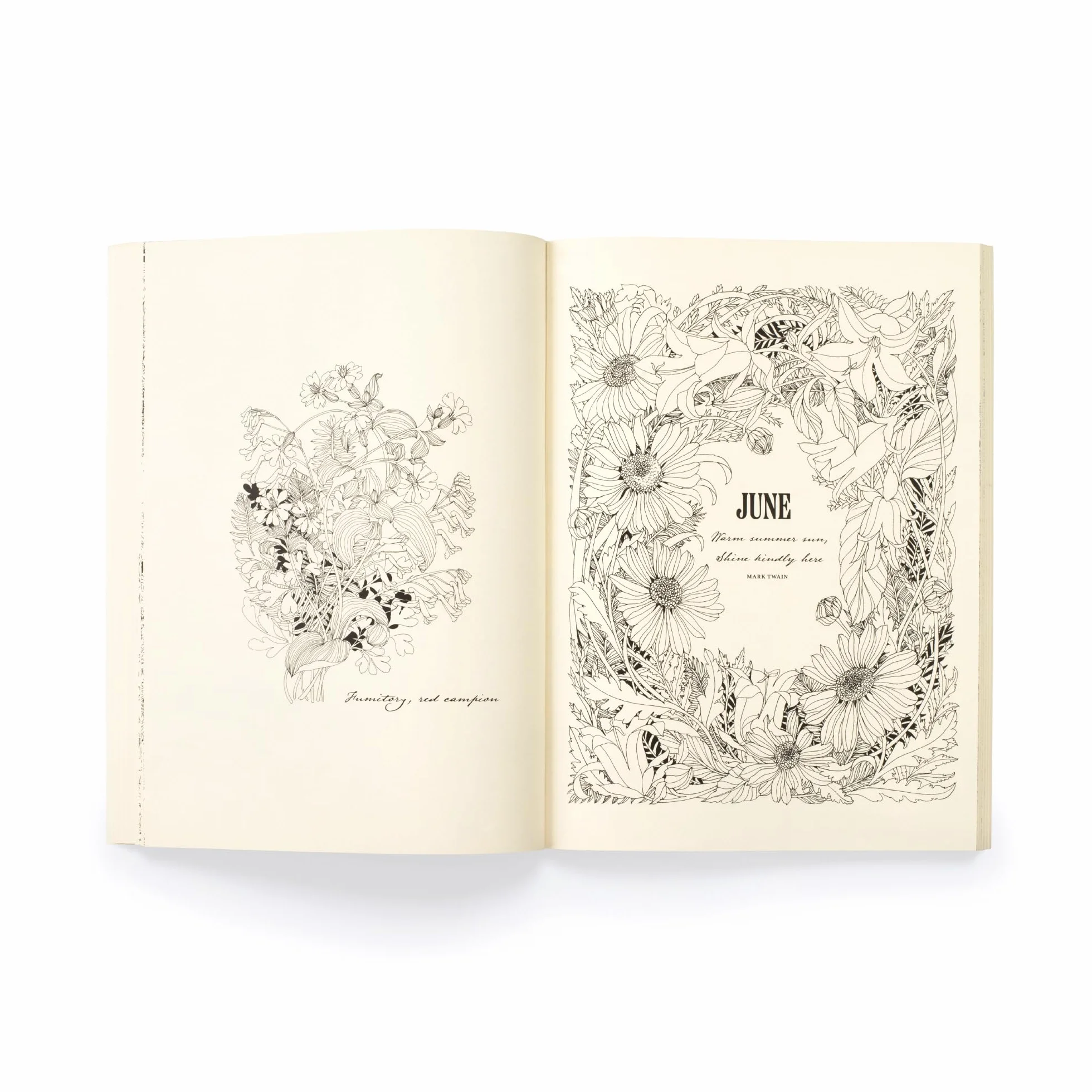 Floribunda Year: A Flower Colouring Companion
