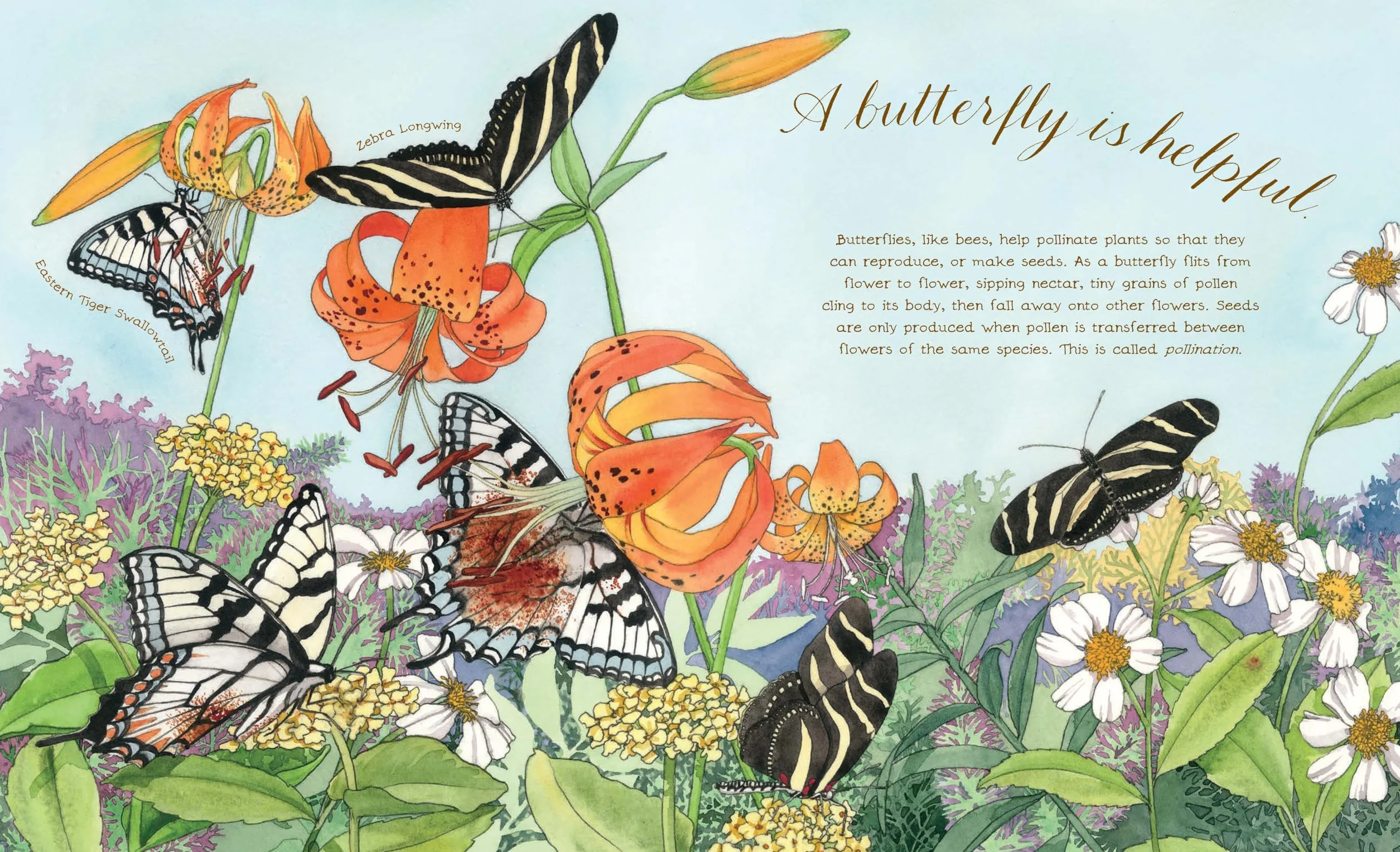 A Butterfly Is Patient: (Nature Books for Kids, Children's Books Ages 3-5, Award Winning Children's Books) (Sylvia Long)