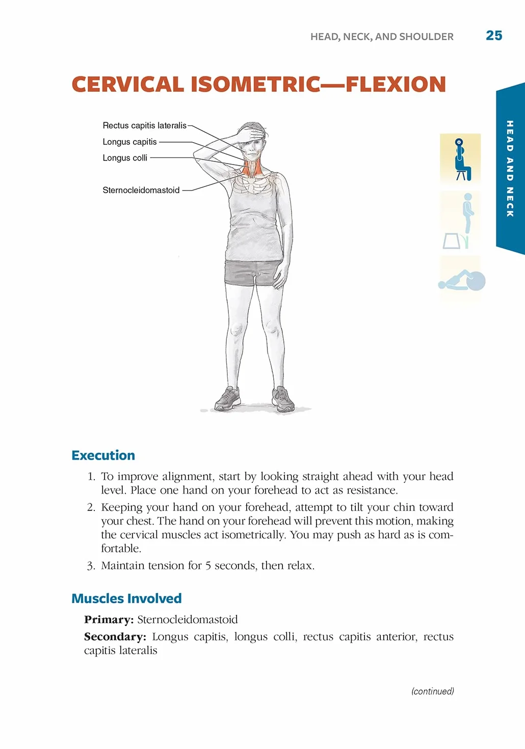 Sport Injury Prevention Anatomy