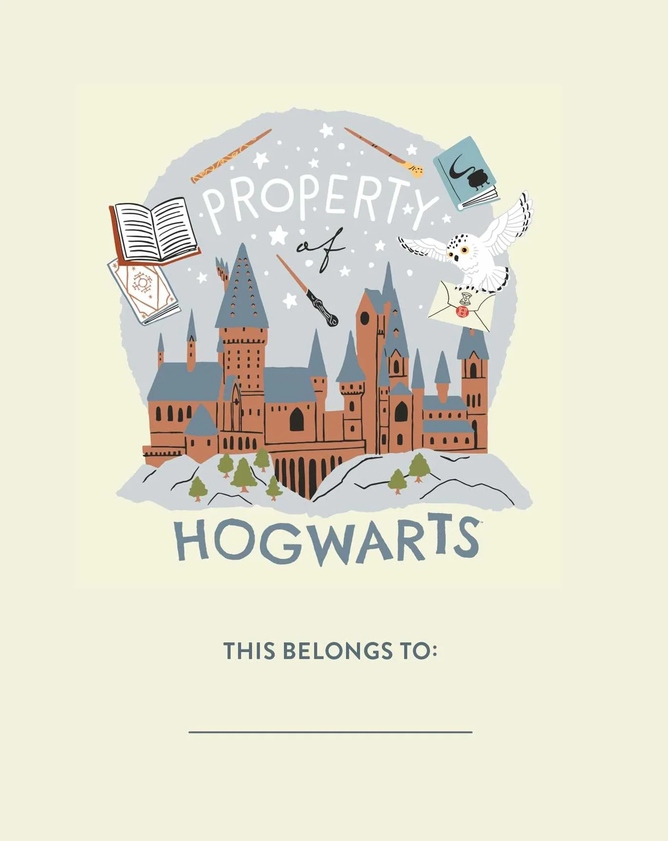 Harry Potter: Hogwarts Lock & Key Diary: Lock & Key Diary with Invisible Ink Pen