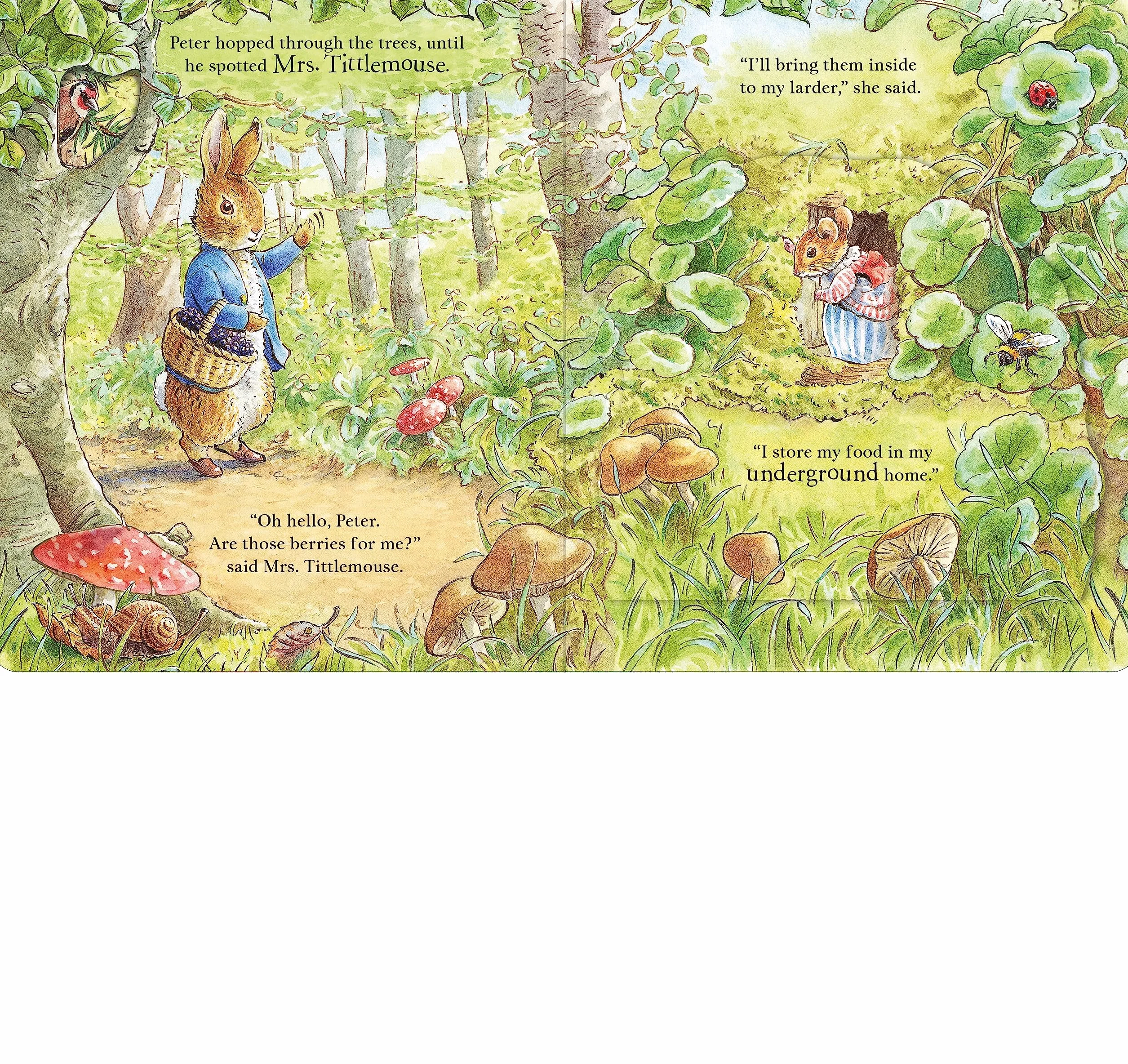 Peter Rabbit: Forest Homes A Peep-Inside Tale
