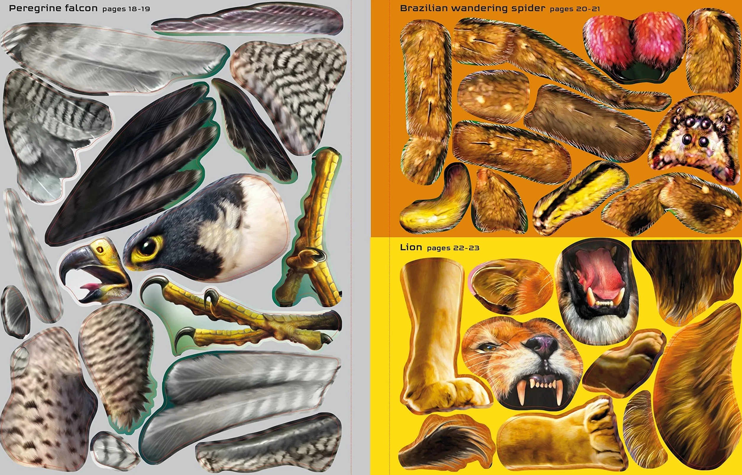 Build Your Own Deadly Animals Sticker Book