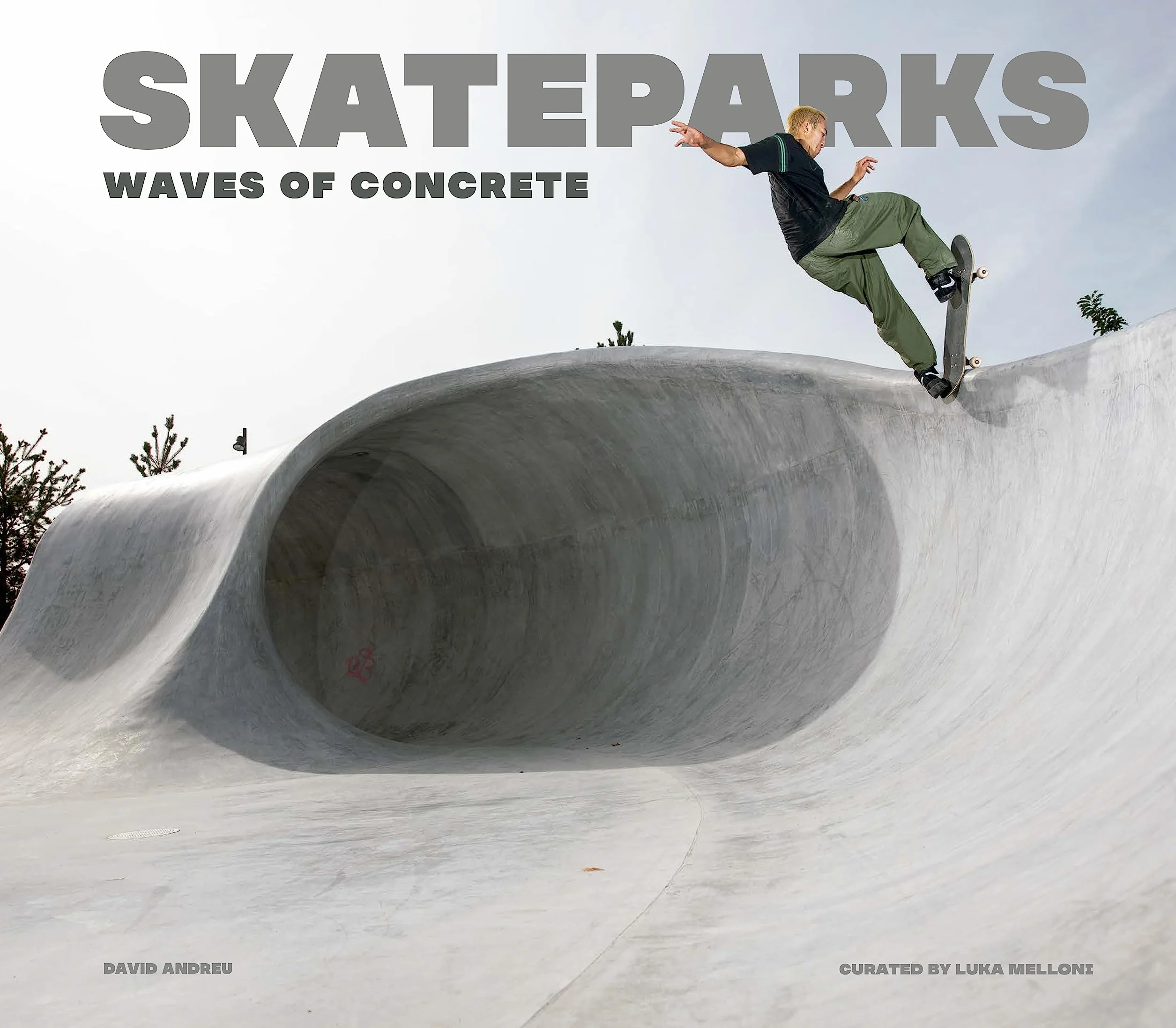 Skateparks: Waves of Concrete